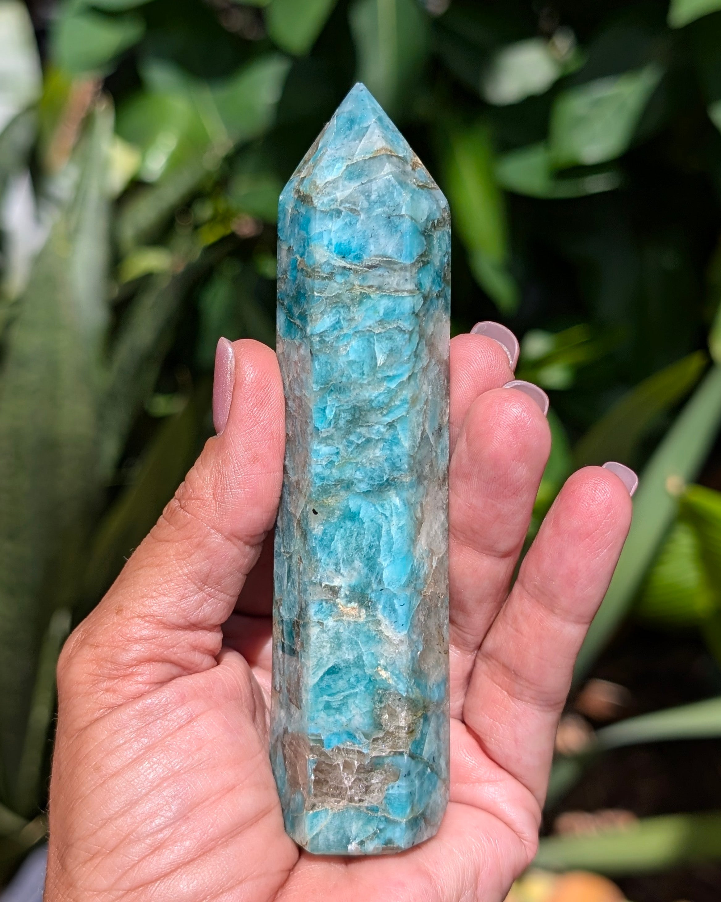 Amazonite Generator D