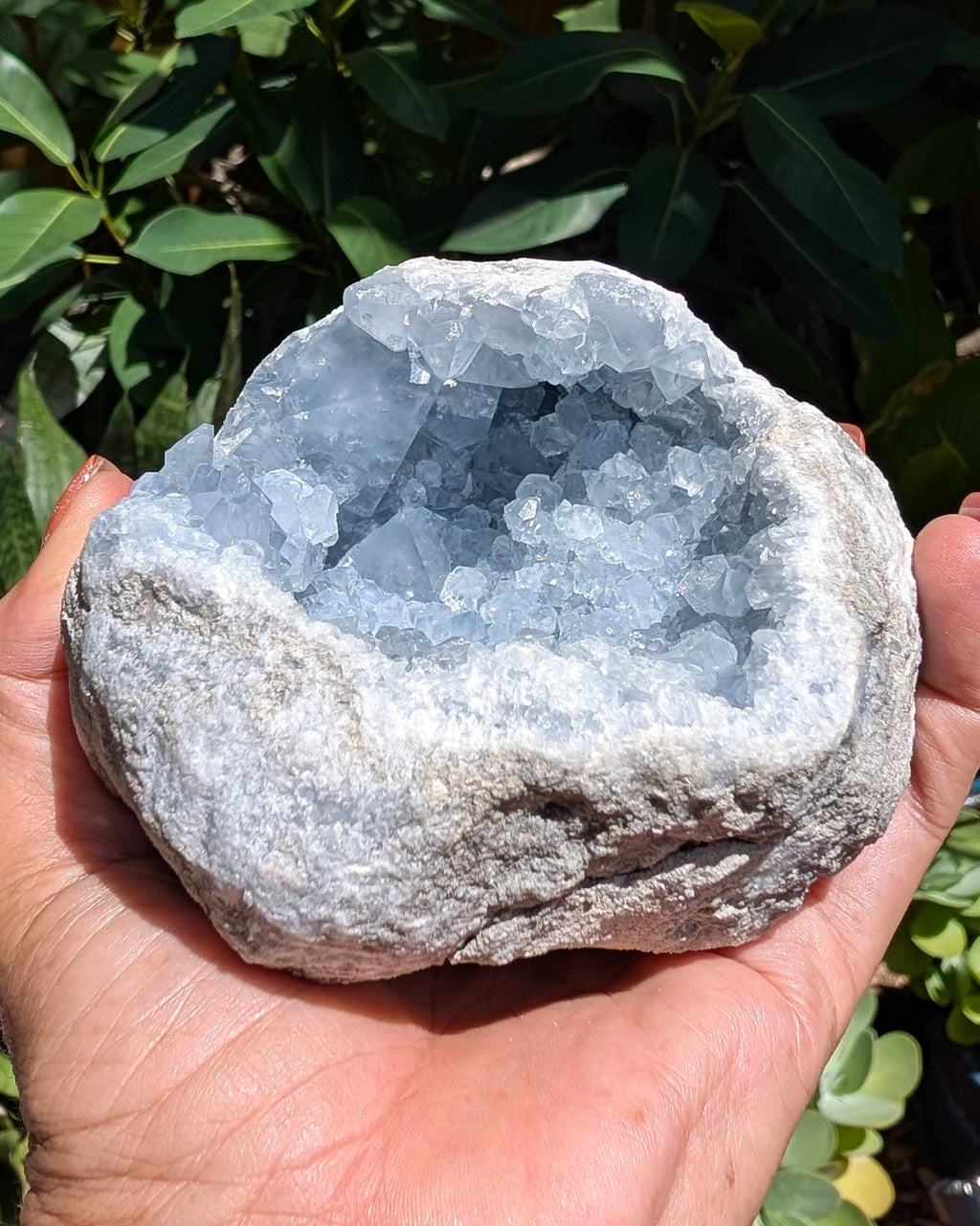 Heavenly Blue Celestite Geode - Opt. I