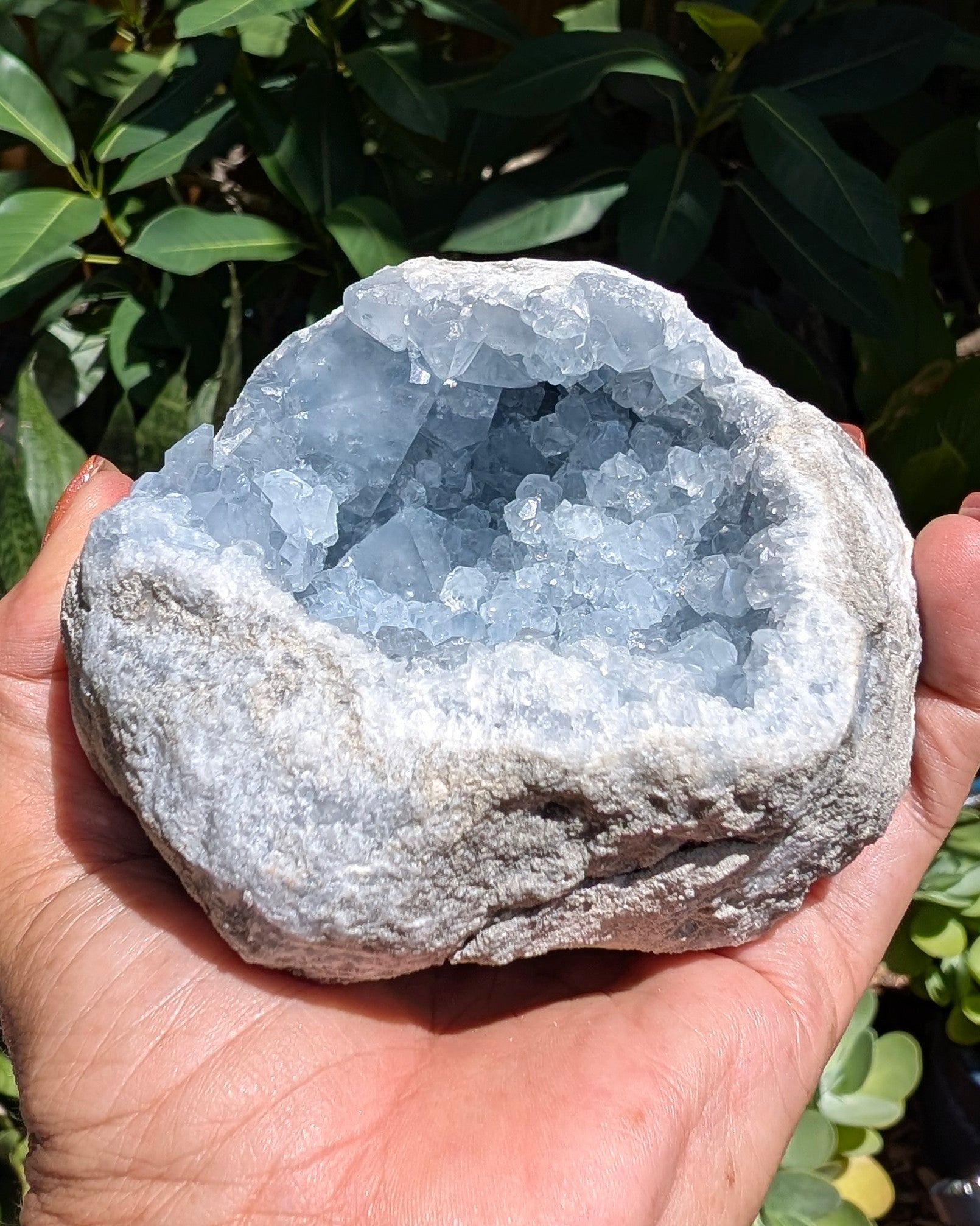 Heavenly Blue Celestite Geode - Opt. I