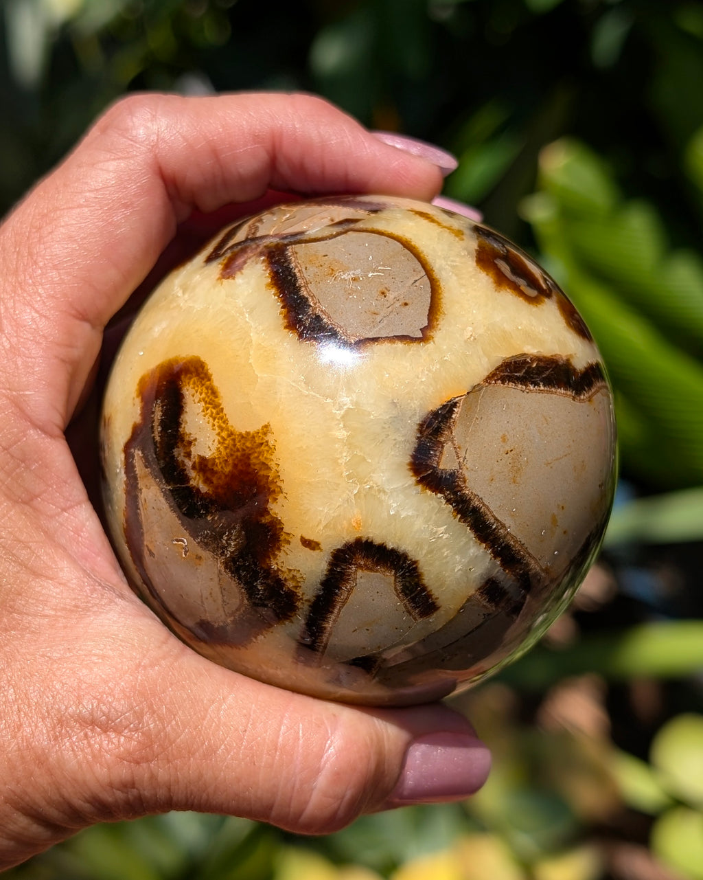 Septarian Dragon Stone Sphere A