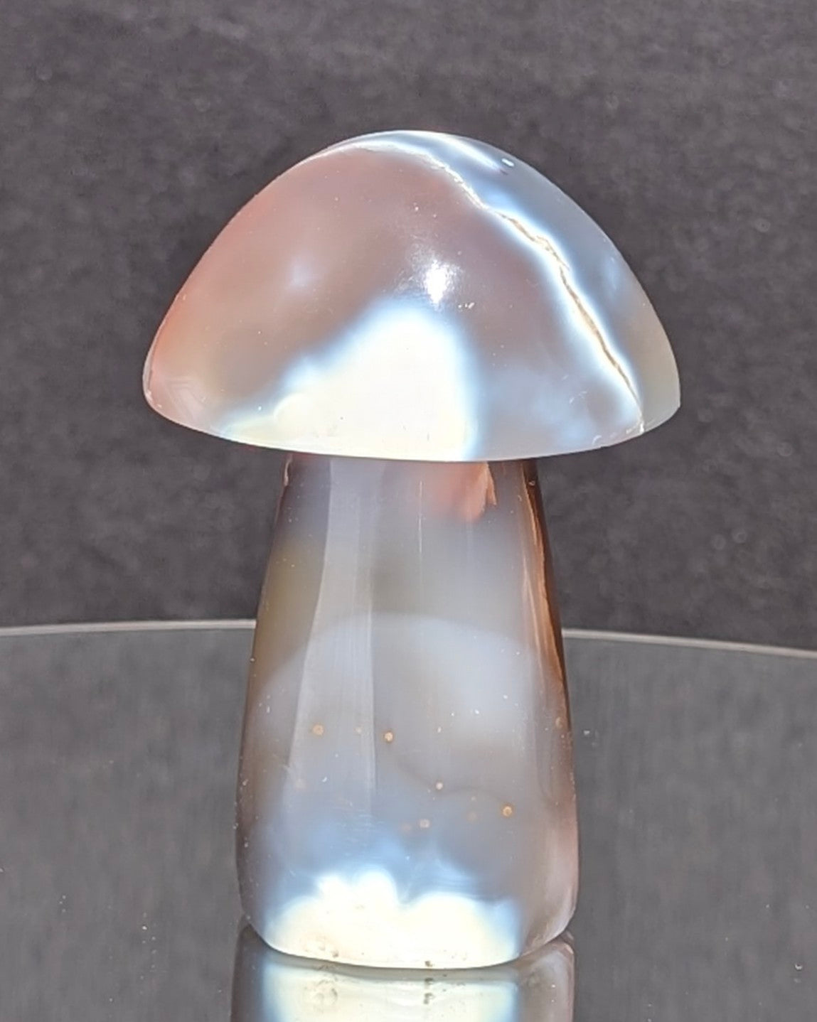 Orca Agate Mushroom I