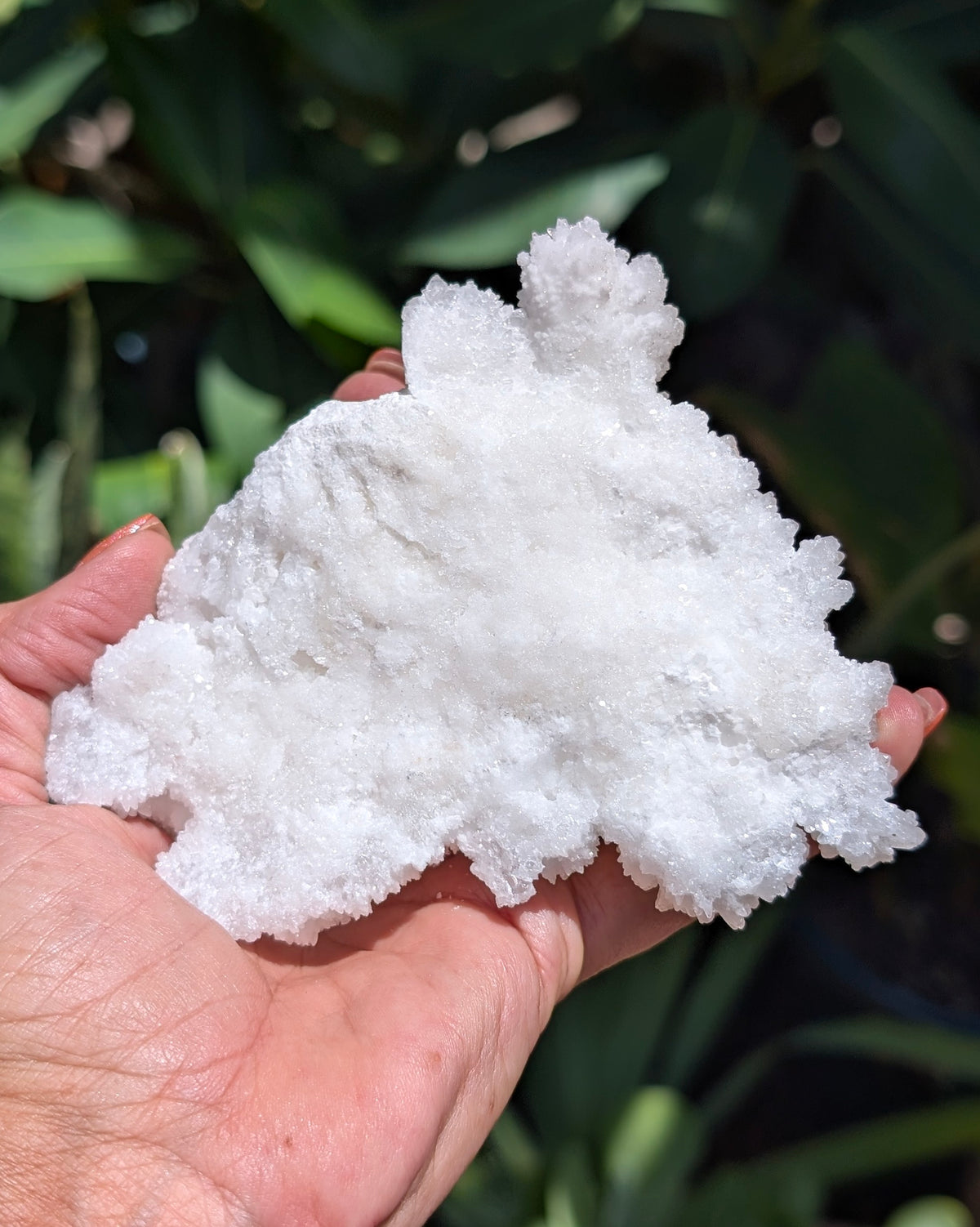 Fluorescent Aragonite Cluster - Opt. N