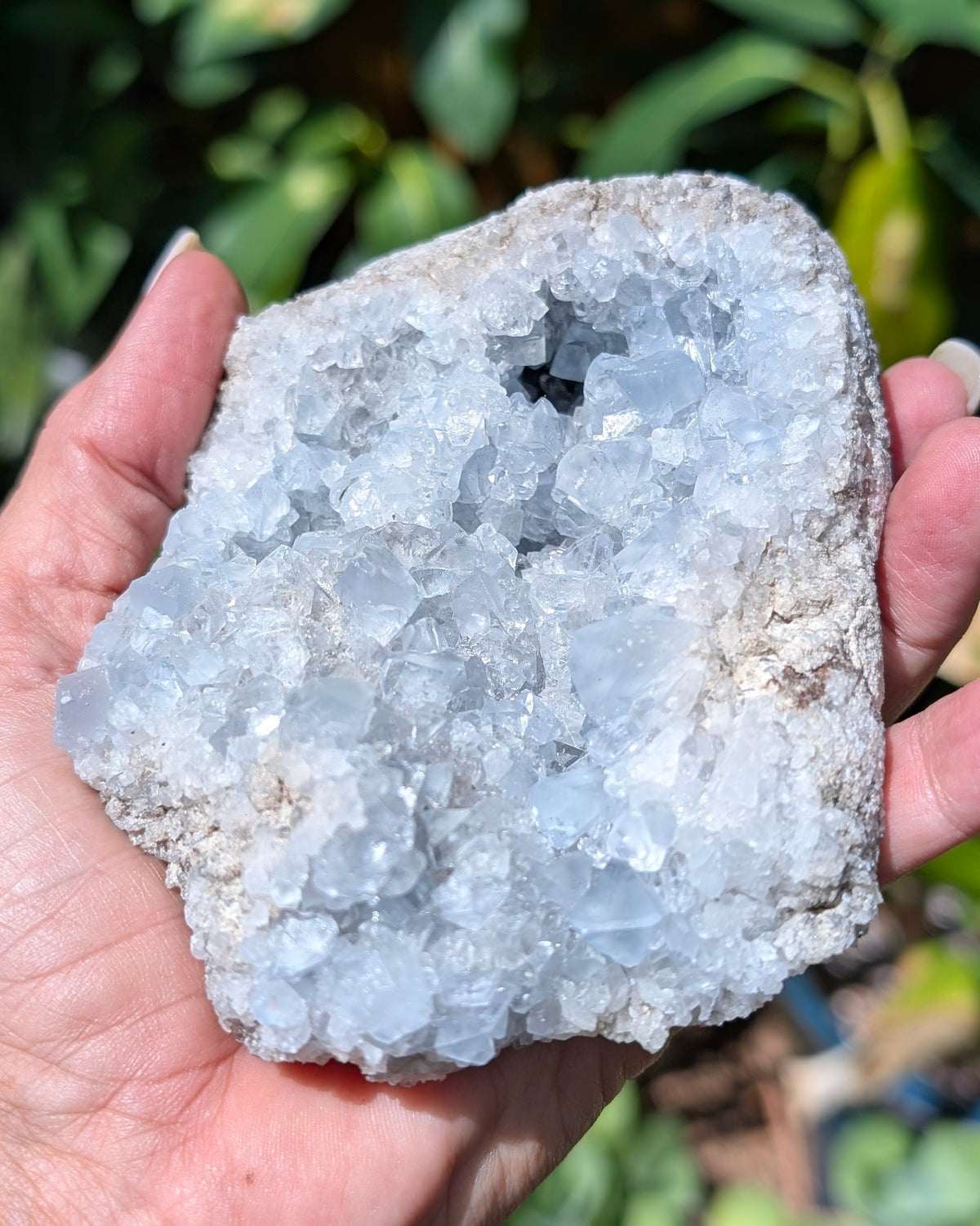 Celestine Cluster - Opt G