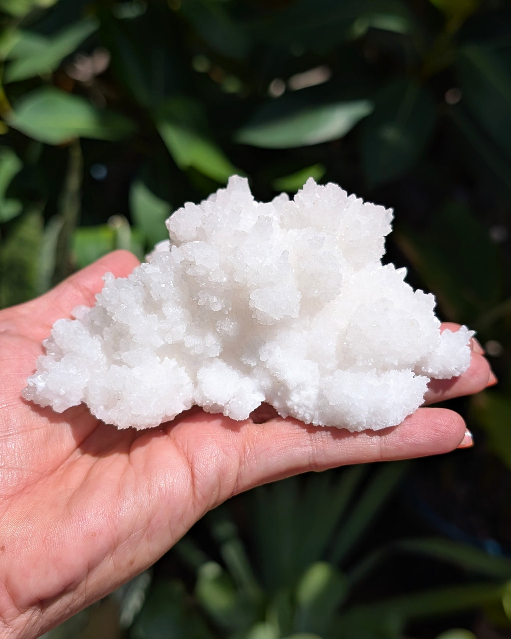 Fluorescent Aragonite Cluster - Opt. N