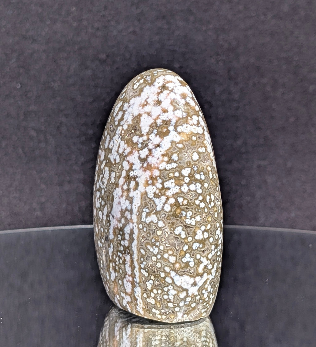 Ocean Jasper B