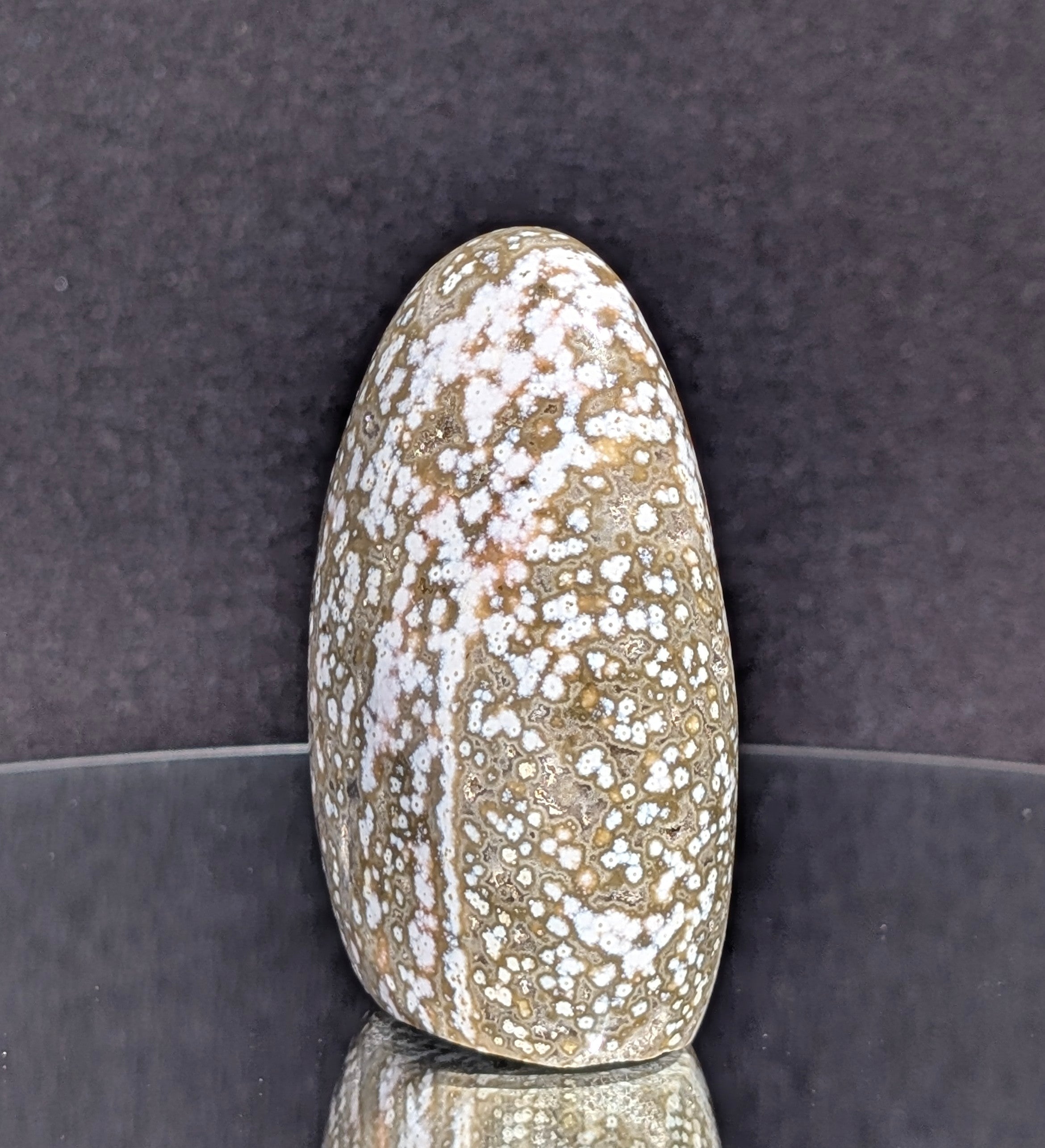 Ocean Jasper B