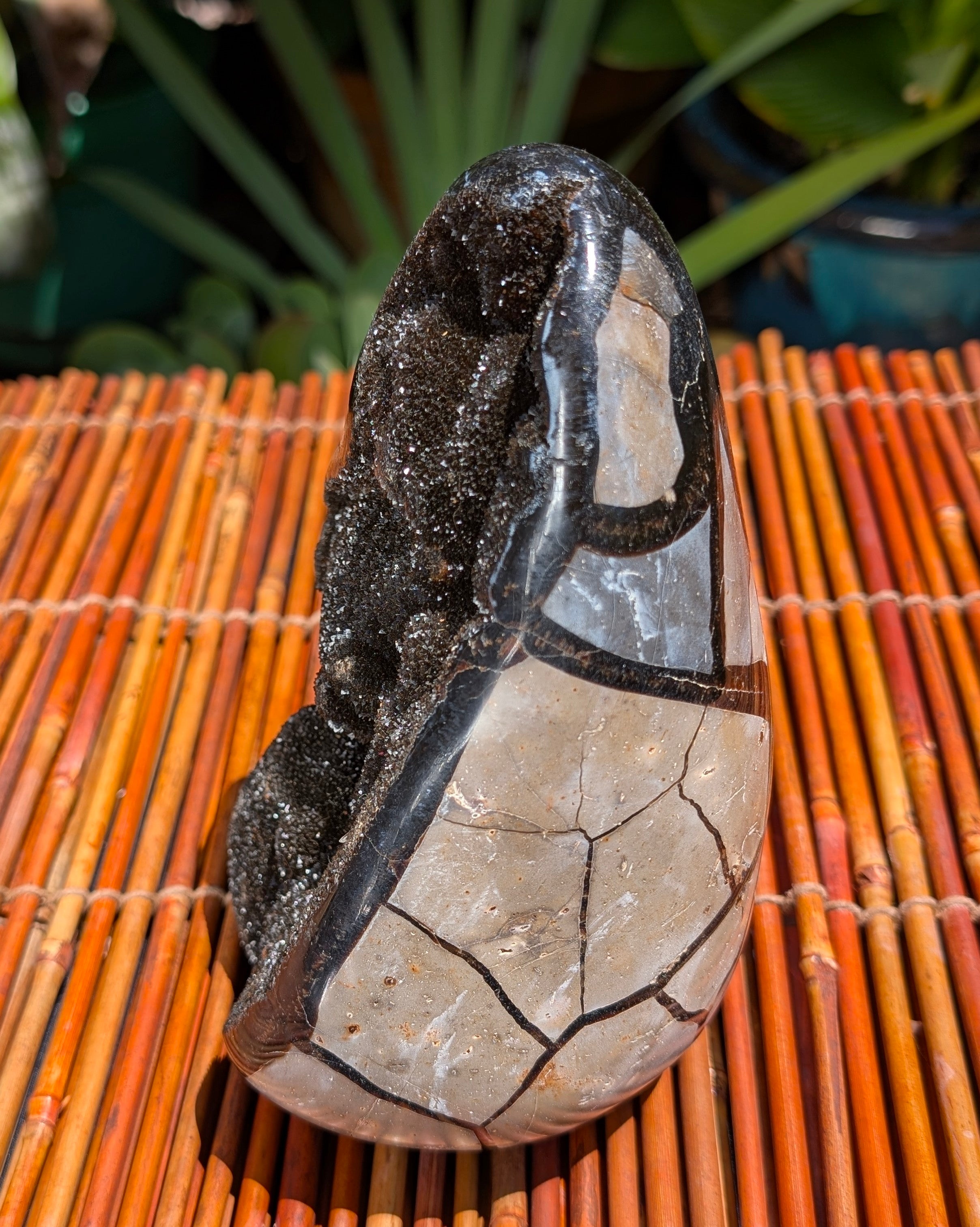 Septarian Dragon Egg B
