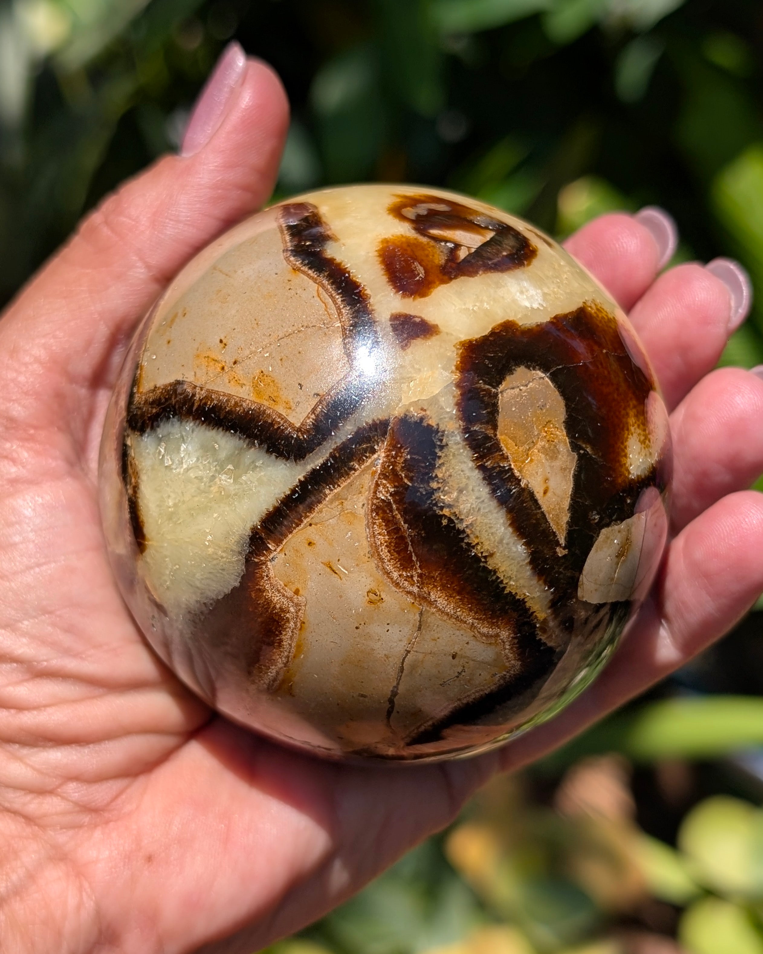Septarian Dragon Stone Sphere A