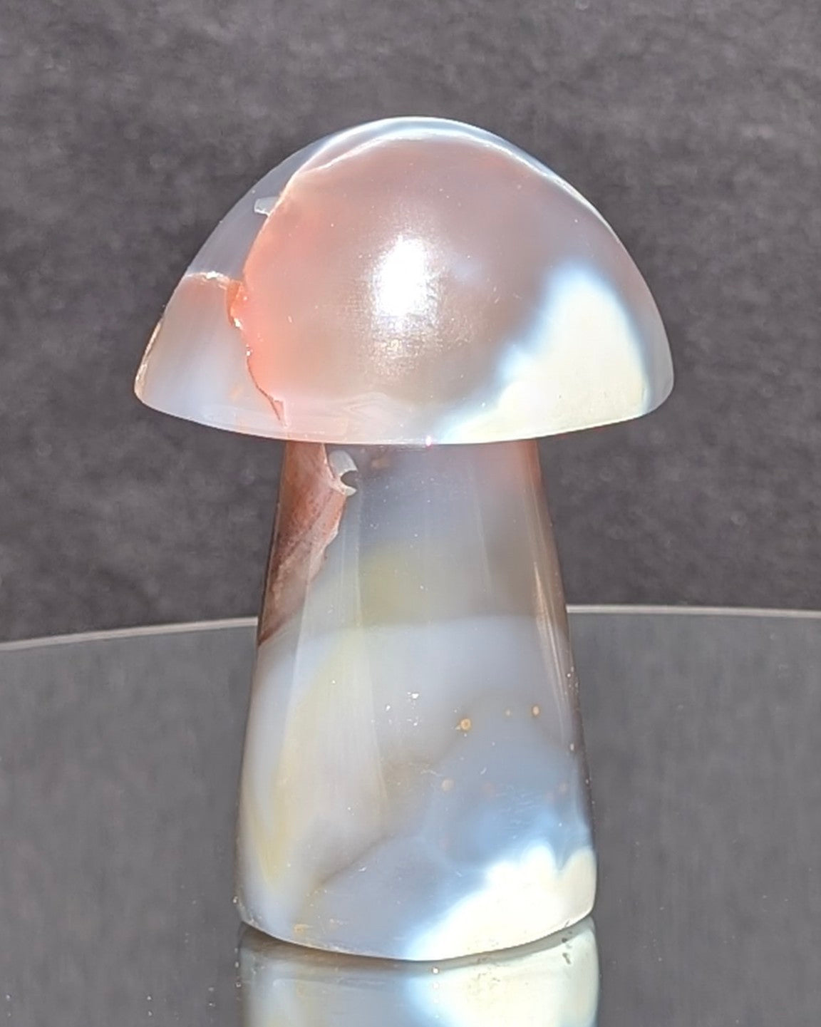 Orca Agate Mushroom I