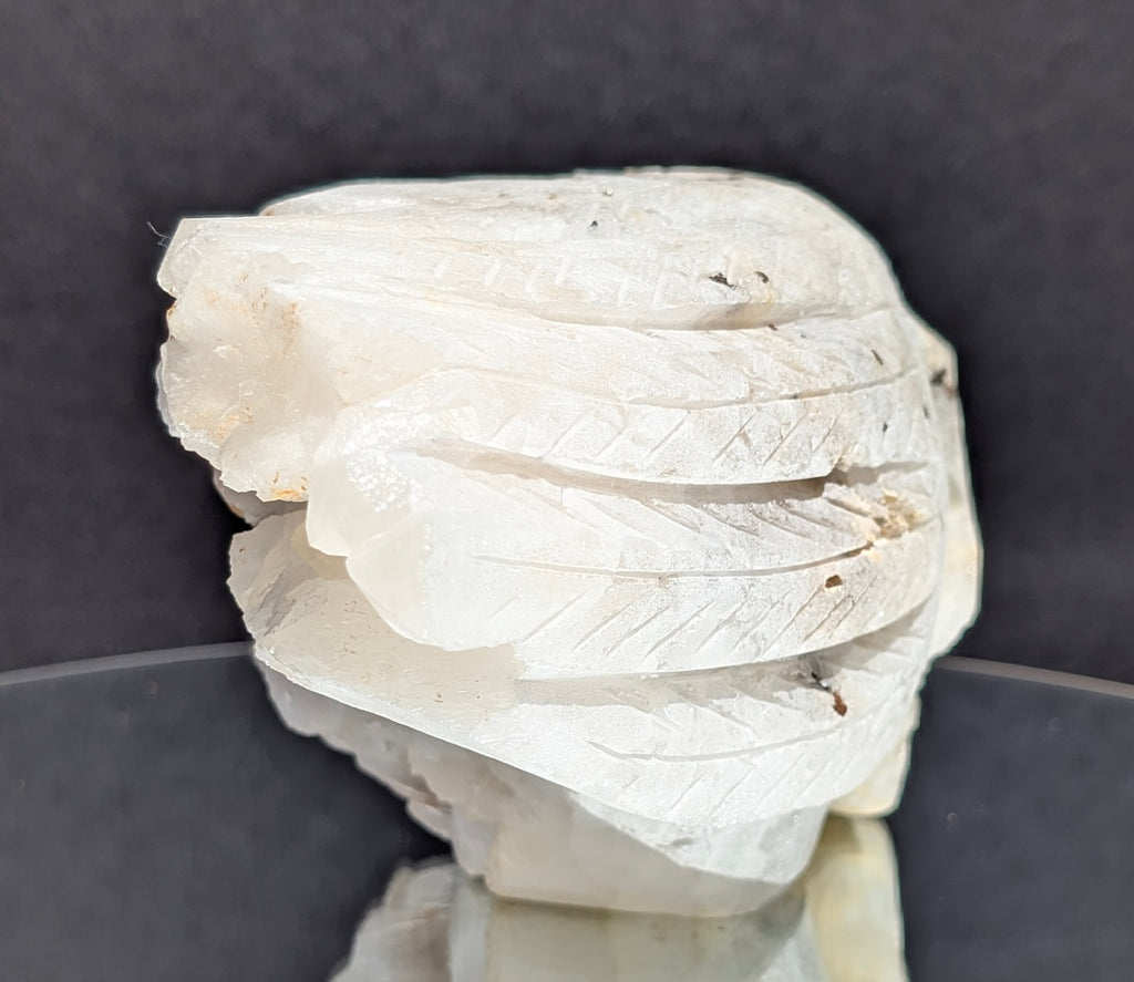 Quartz Skull with Feather Headdress A