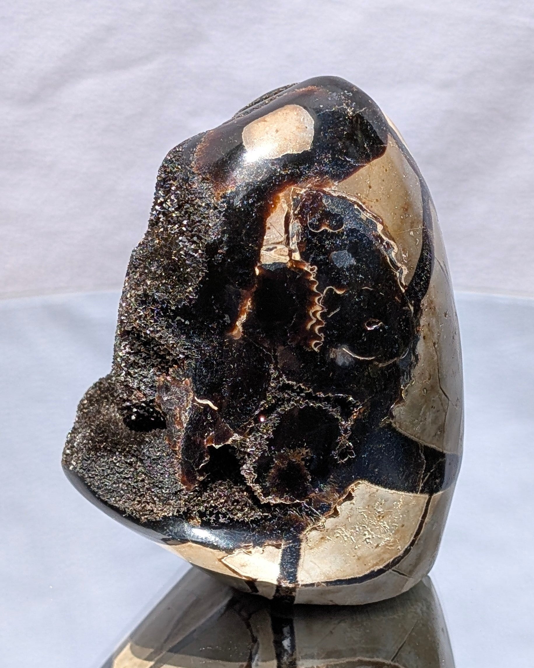 Septarian Dragon Egg D