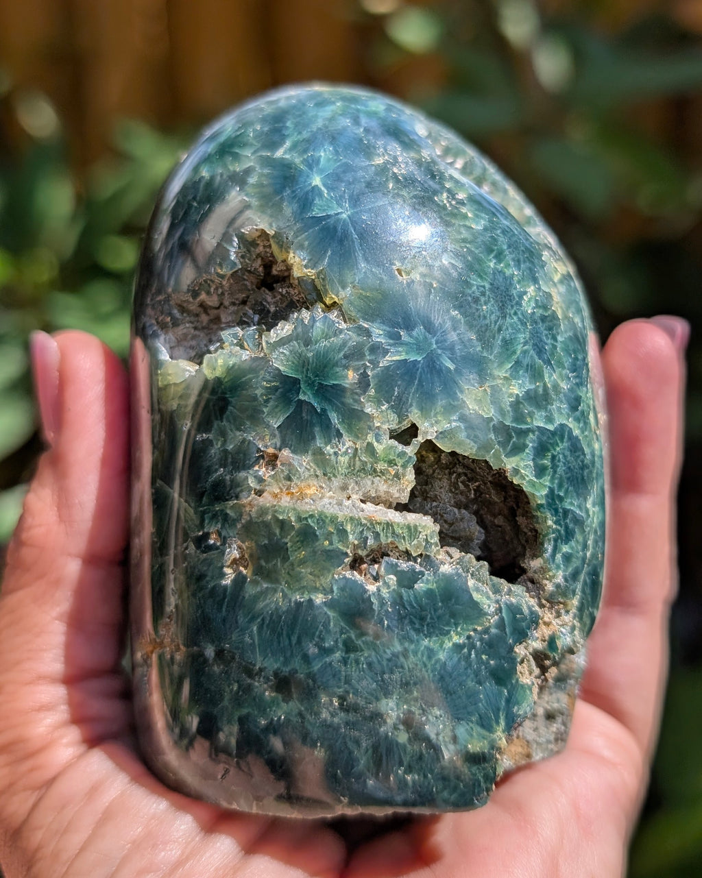 Ocean Jasper D