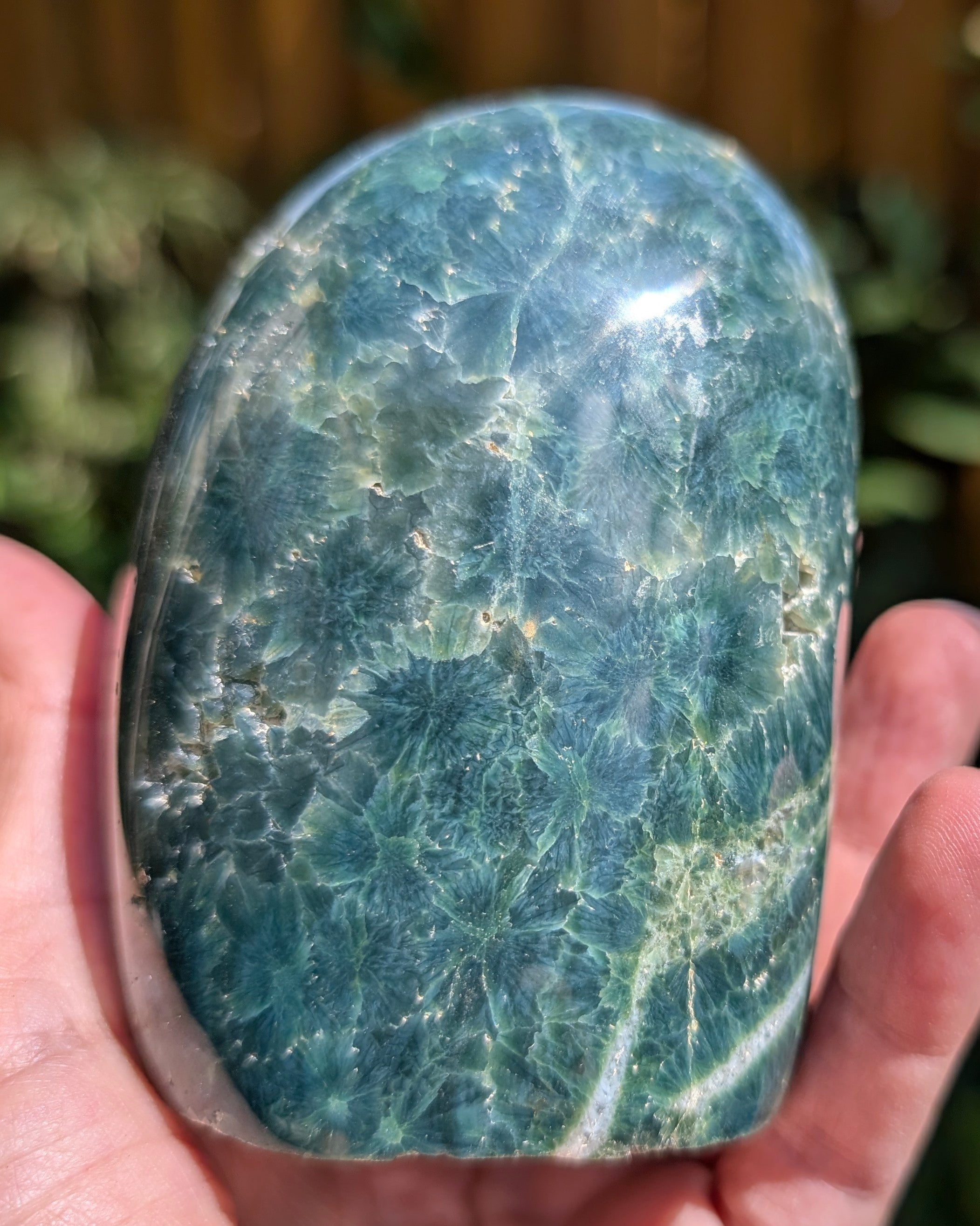 Ocean Jasper D