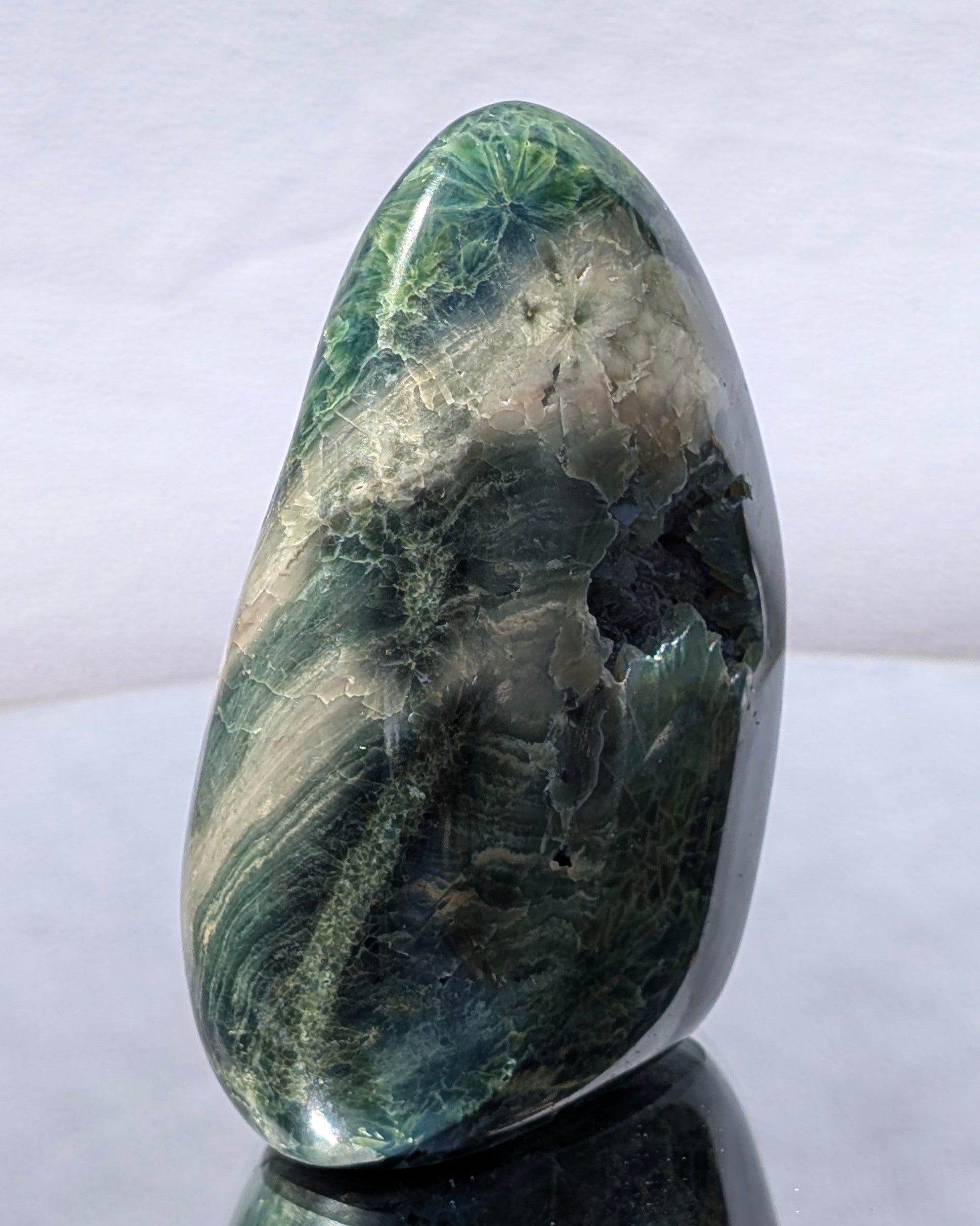 Ocean Jasper E