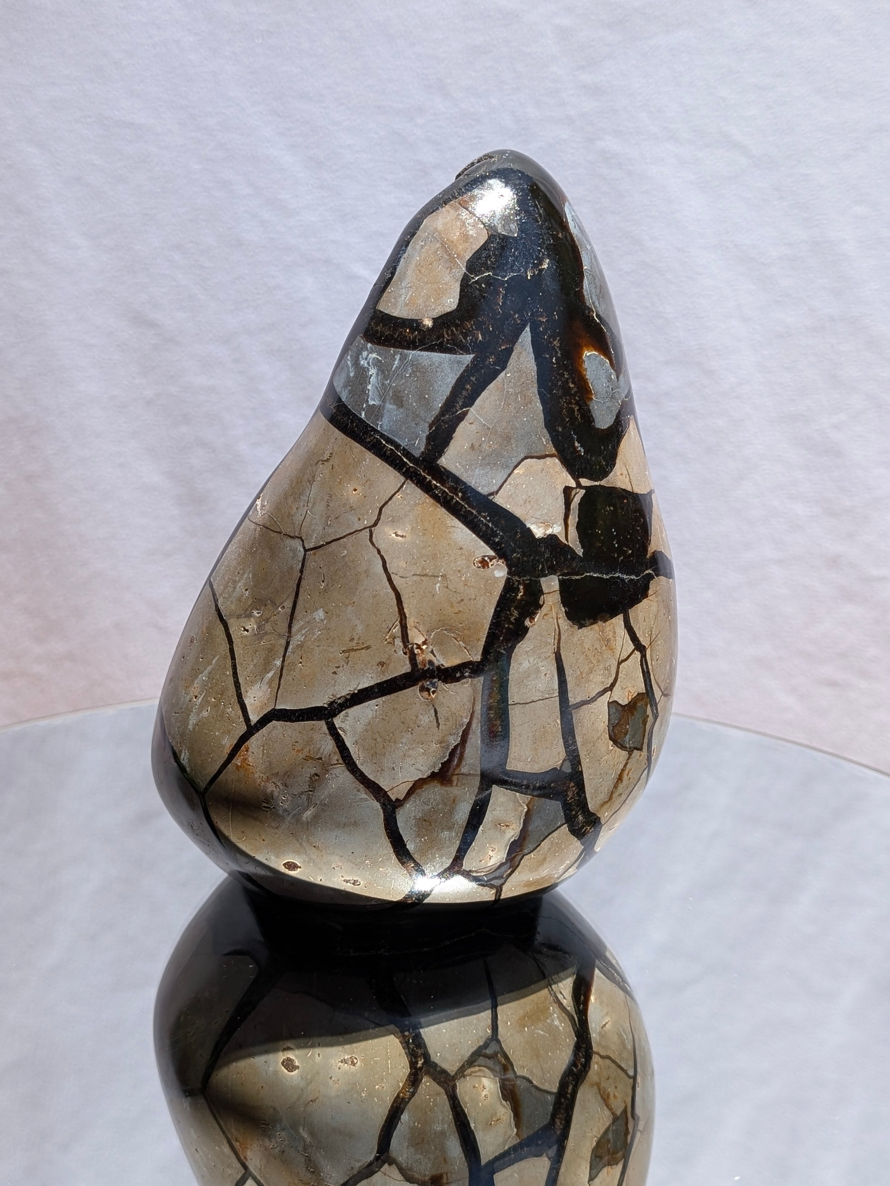 Septarian Dragon Egg B
