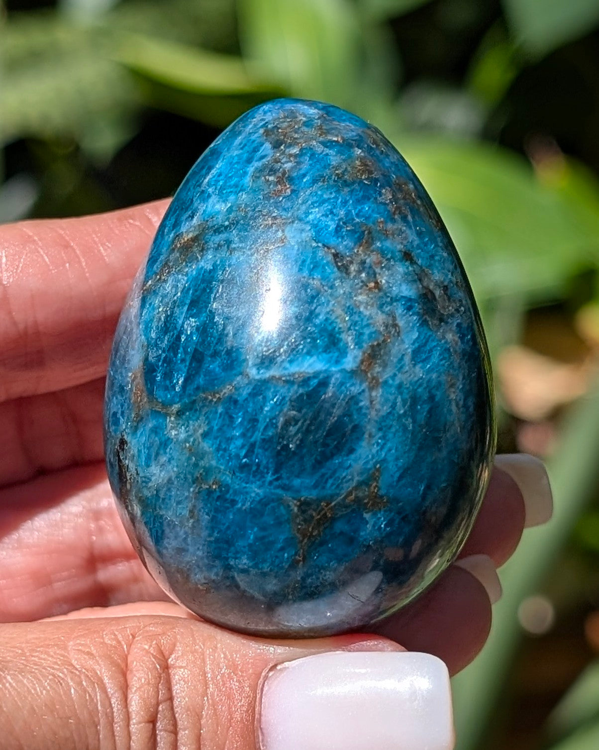 Apatite Egg - Opt. H
