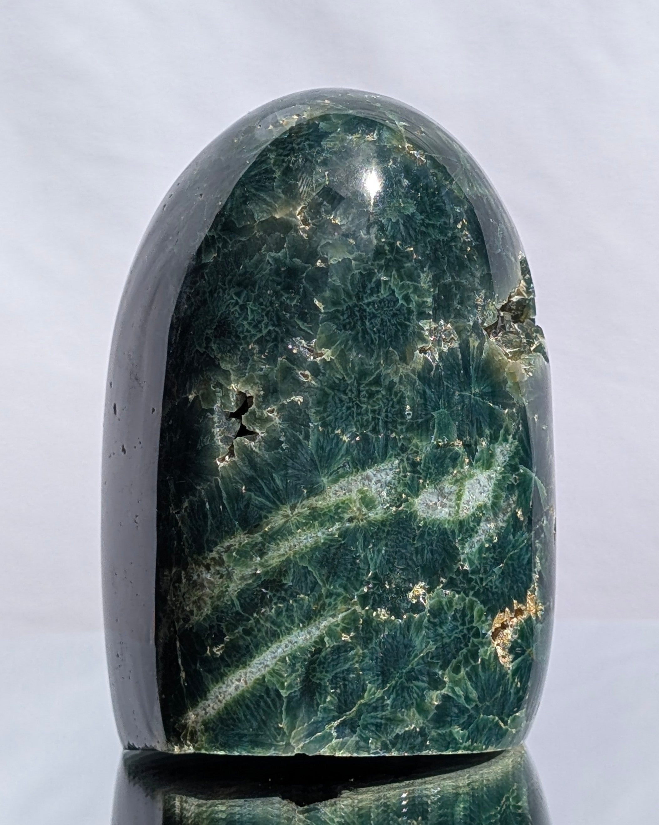 Ocean Jasper D