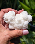 Fluorescent Aragonite Cluster I