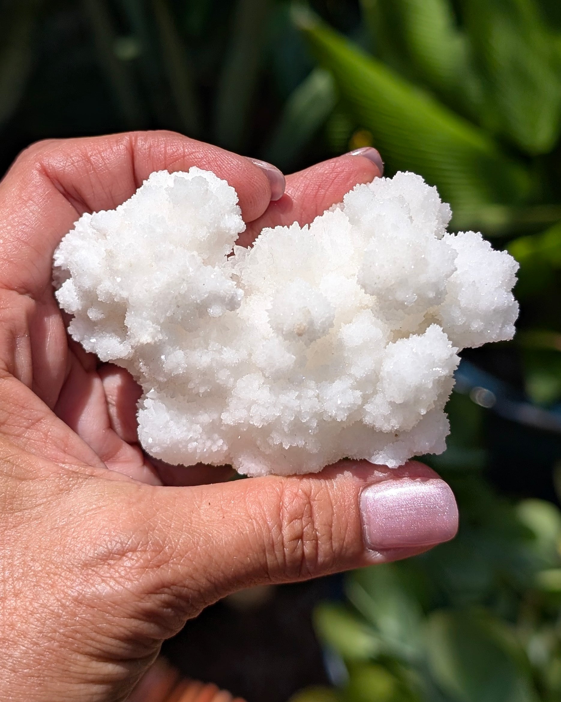 Fluorescent Aragonite Cluster I