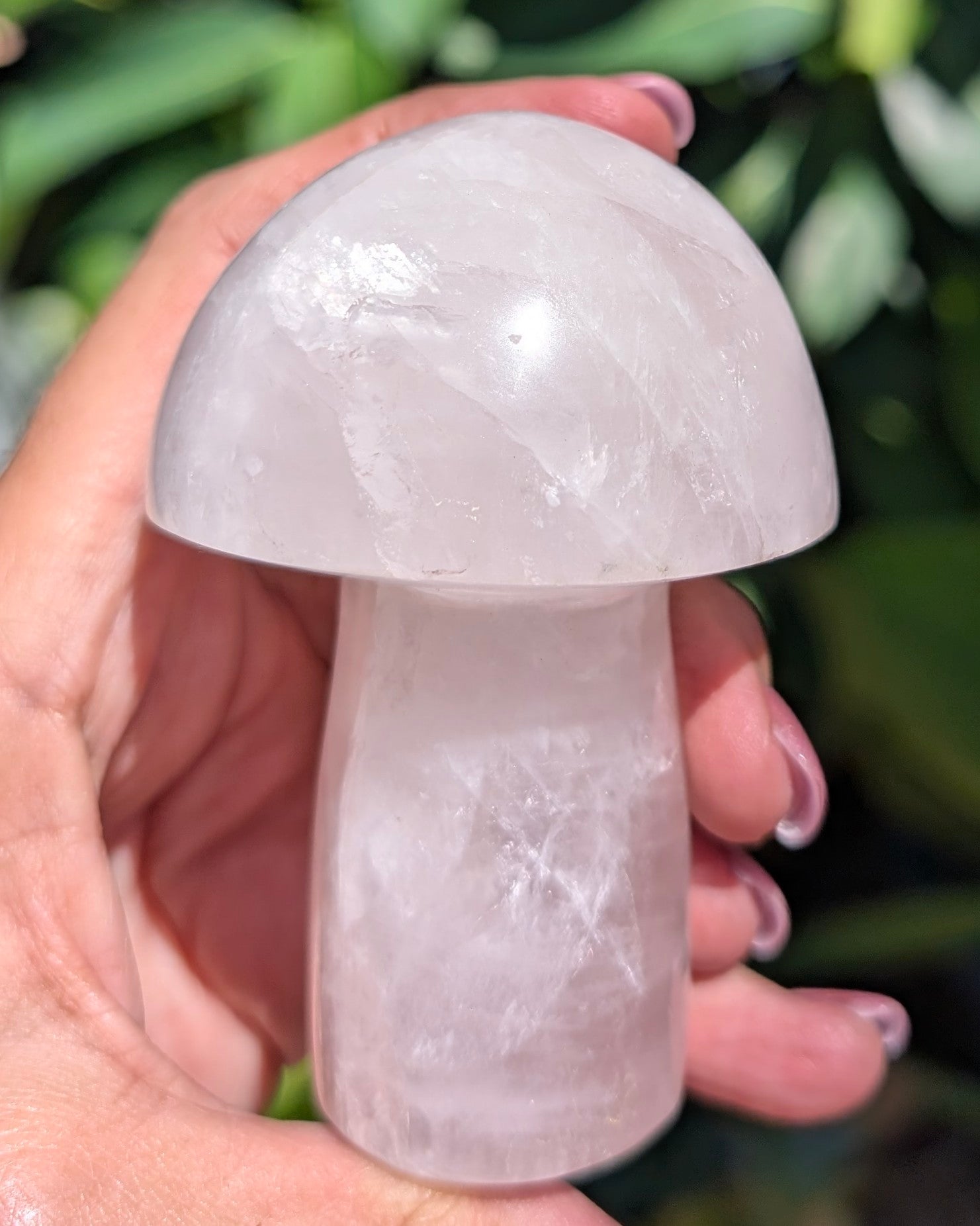 Rose Quartz Mushroom C
