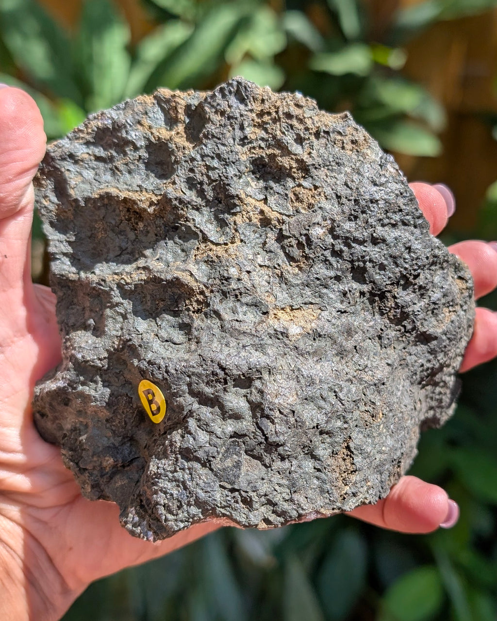 Amethyst Druzy Tarazout Cluster B