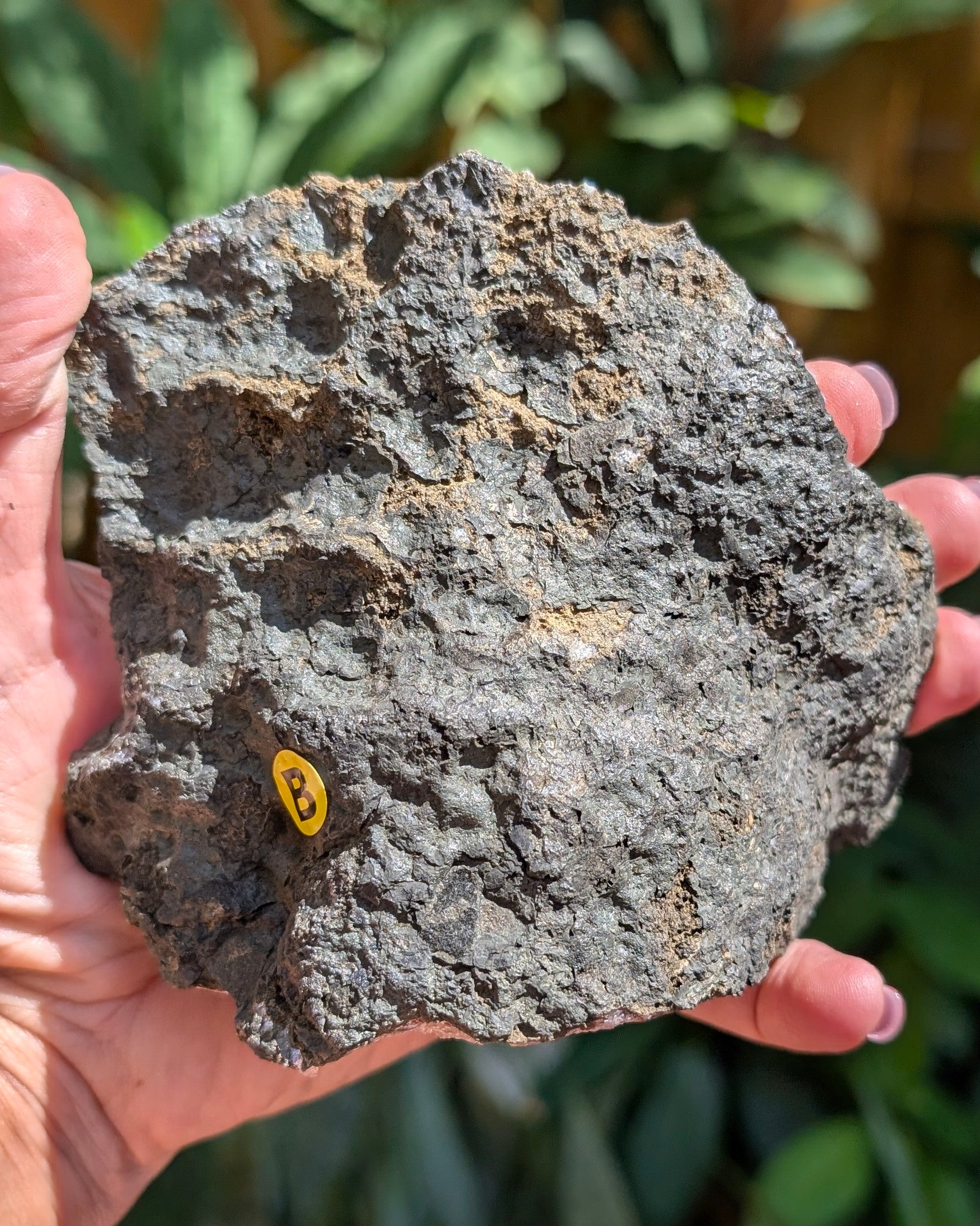 Amethyst Druzy Tarazout Cluster B