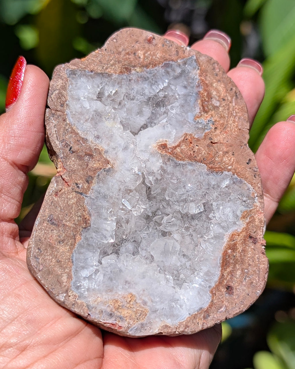 Fluorescent Thunderegg Geode Opt. A