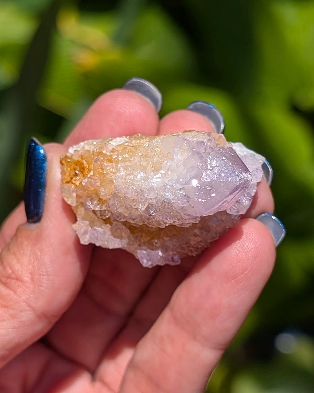 Petite Spirit Quartz - Opt. C