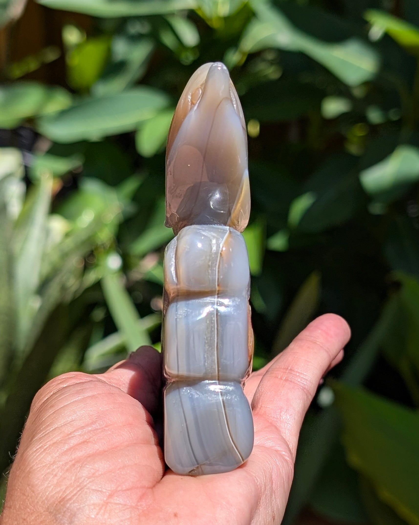 Agate Druzy Dolphin C