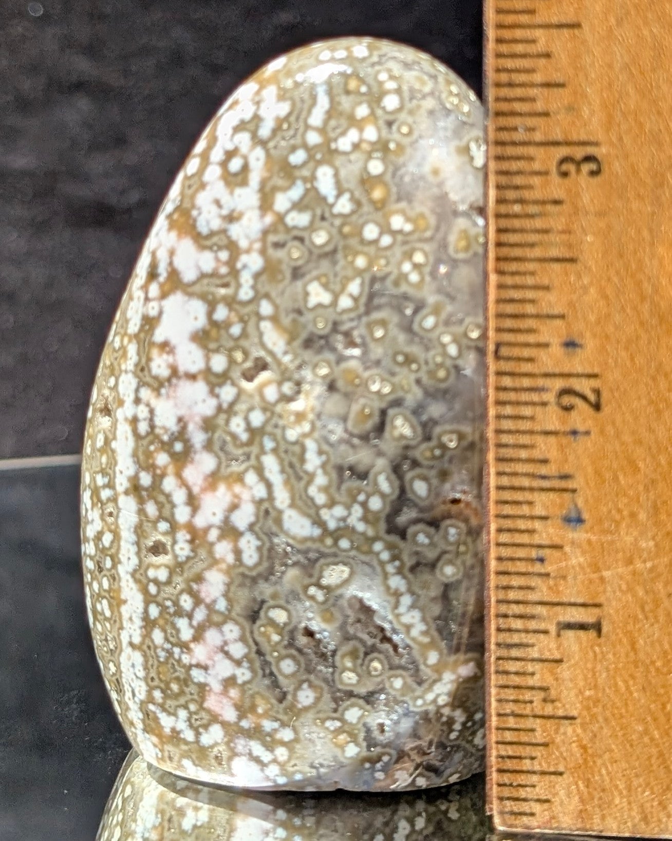 Ocean Jasper B