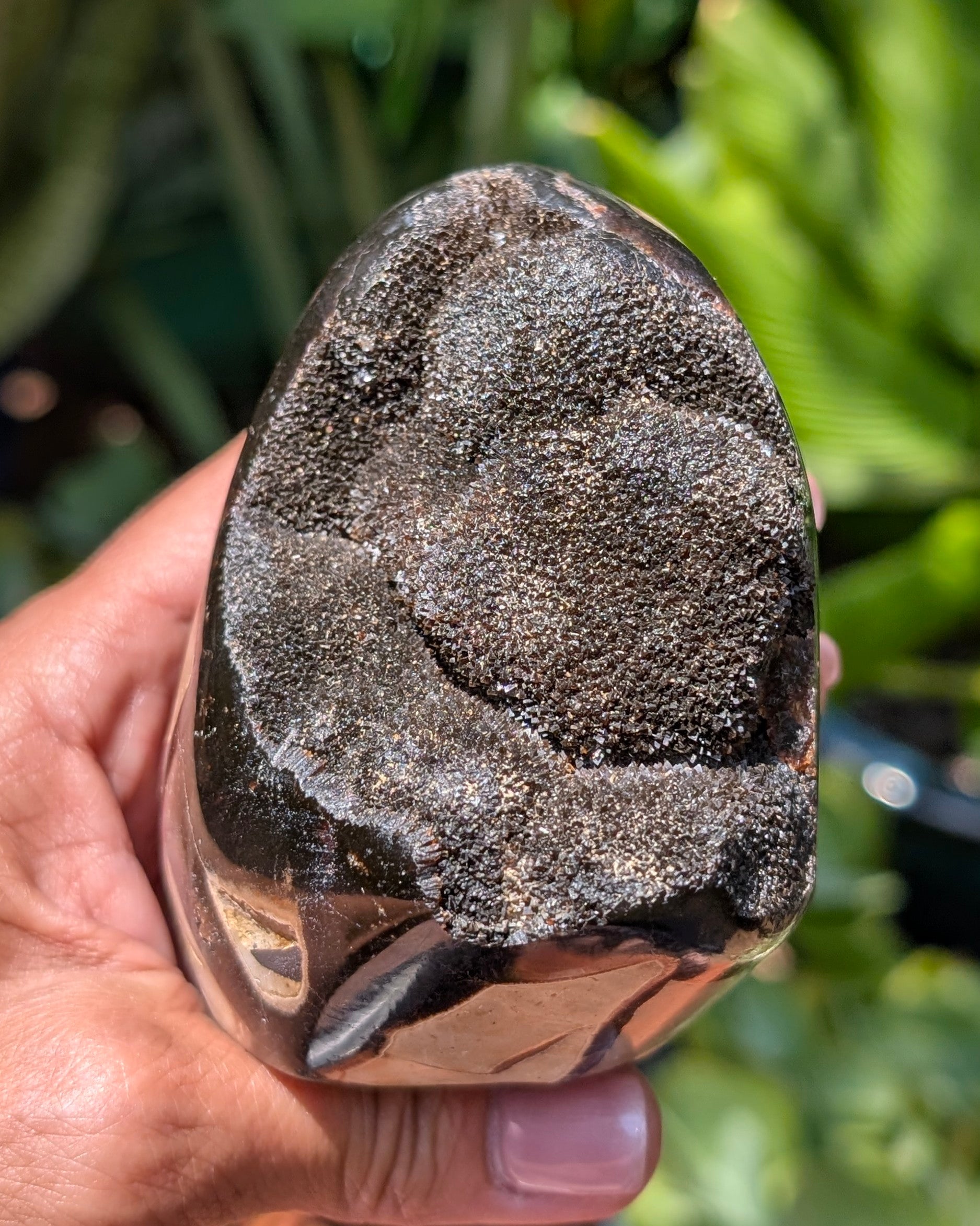 Septarian Dragon Egg D
