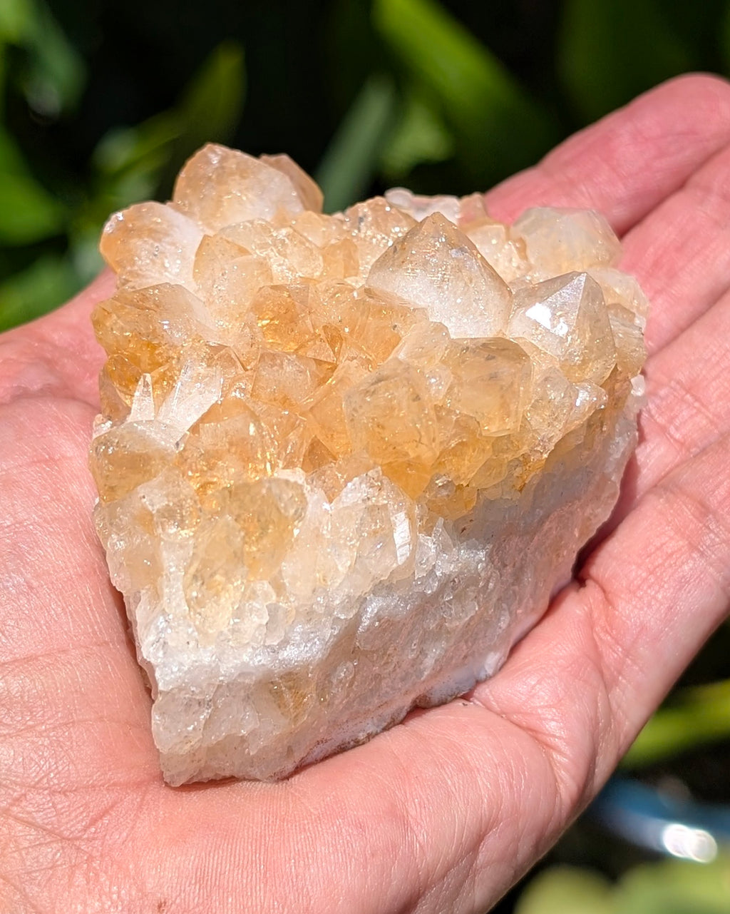 Citrine Cluster C