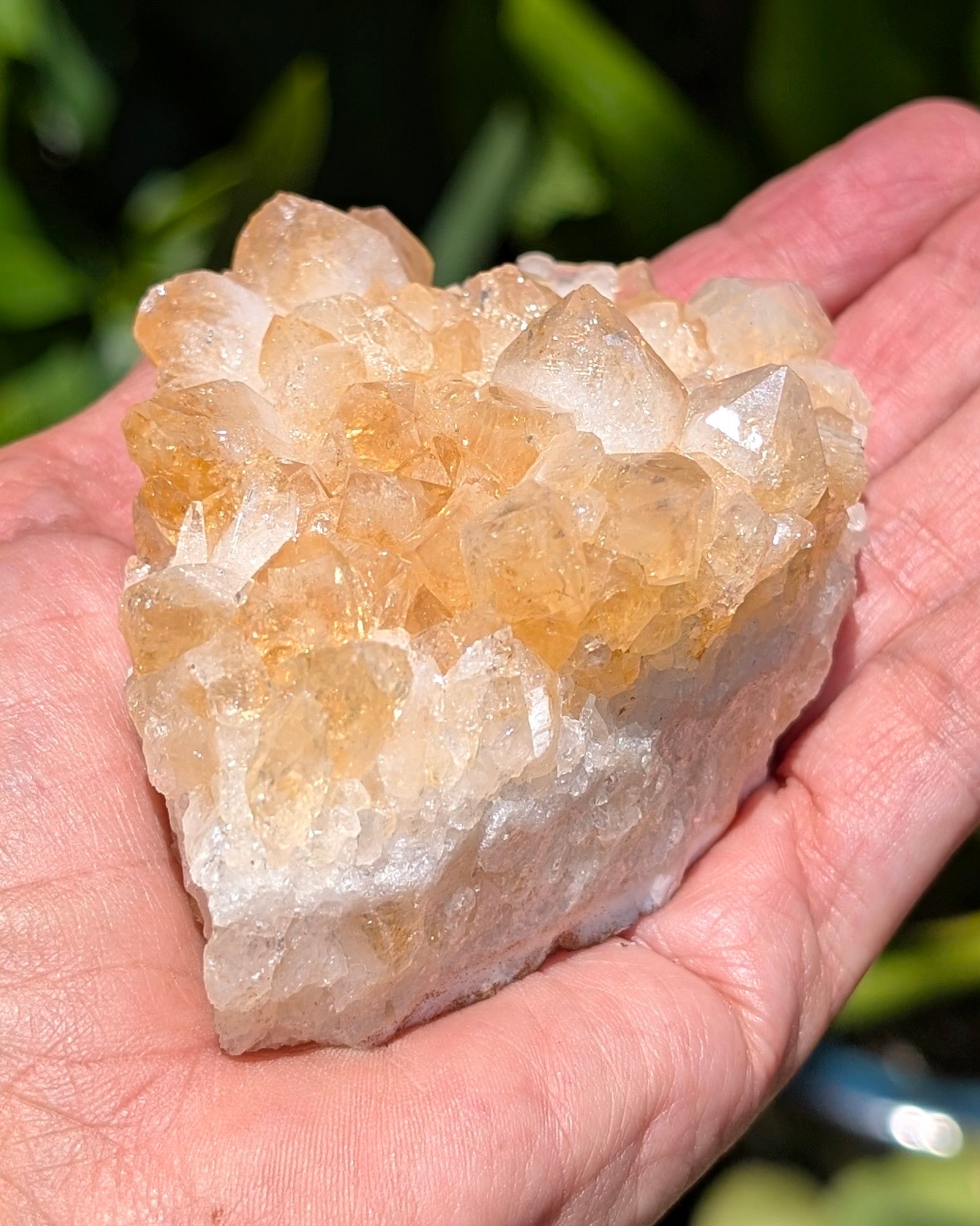 Citrine Cluster C