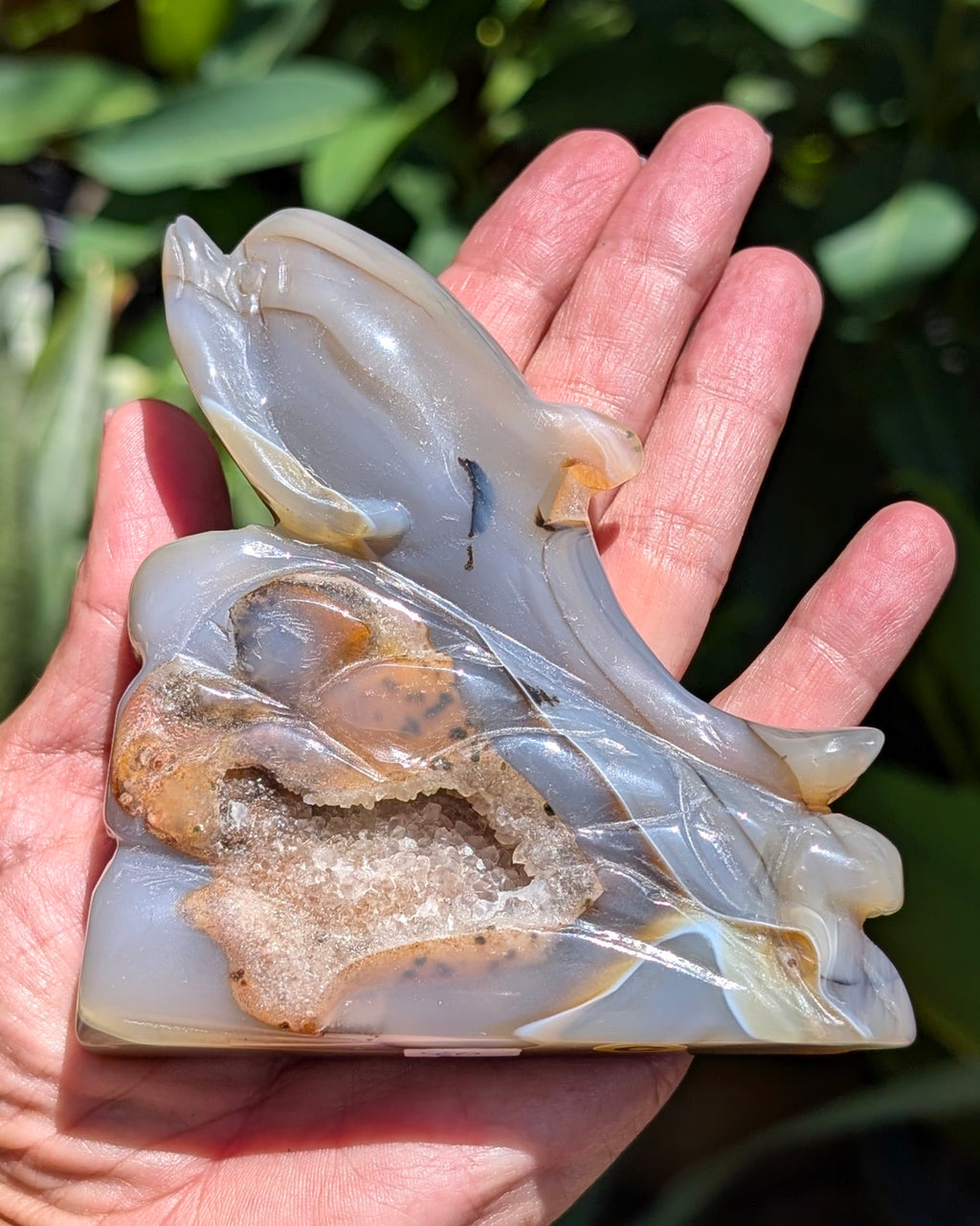 Agate Druzy Dolphin C