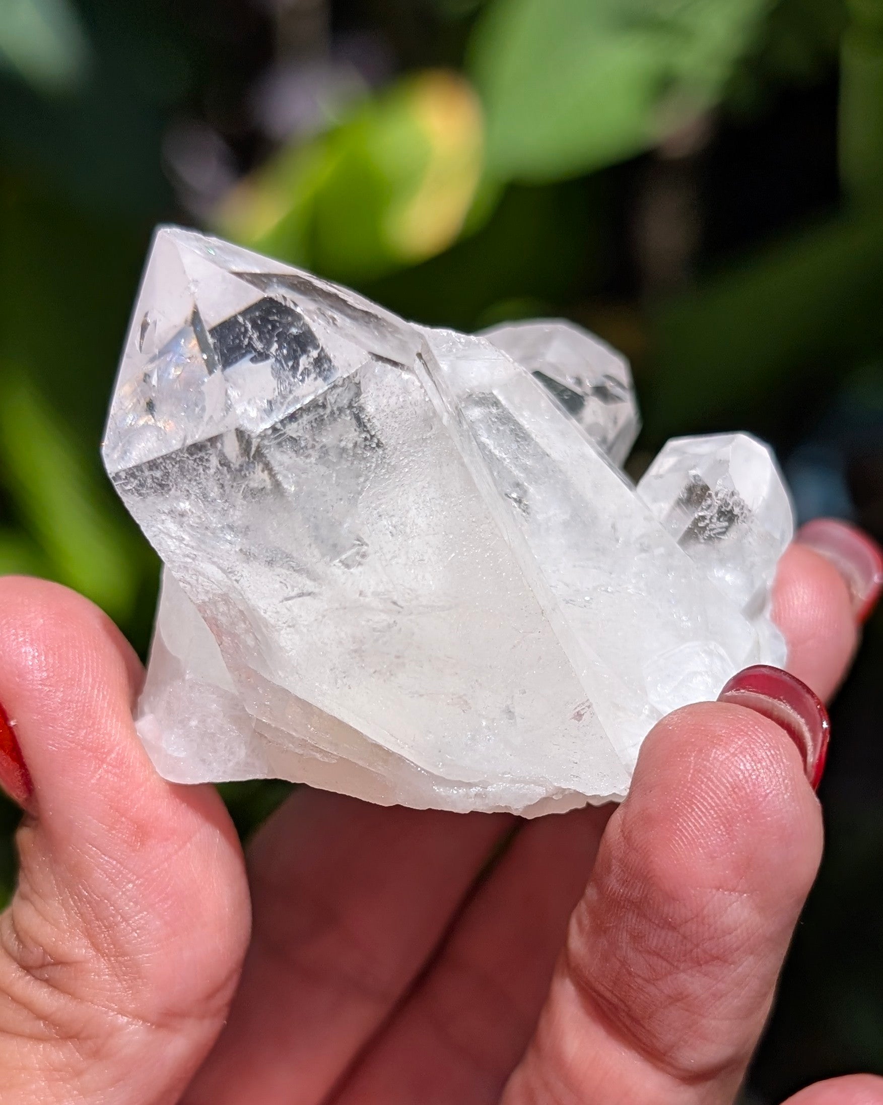 Amazing Clear Quartz Cluster - Opt. D