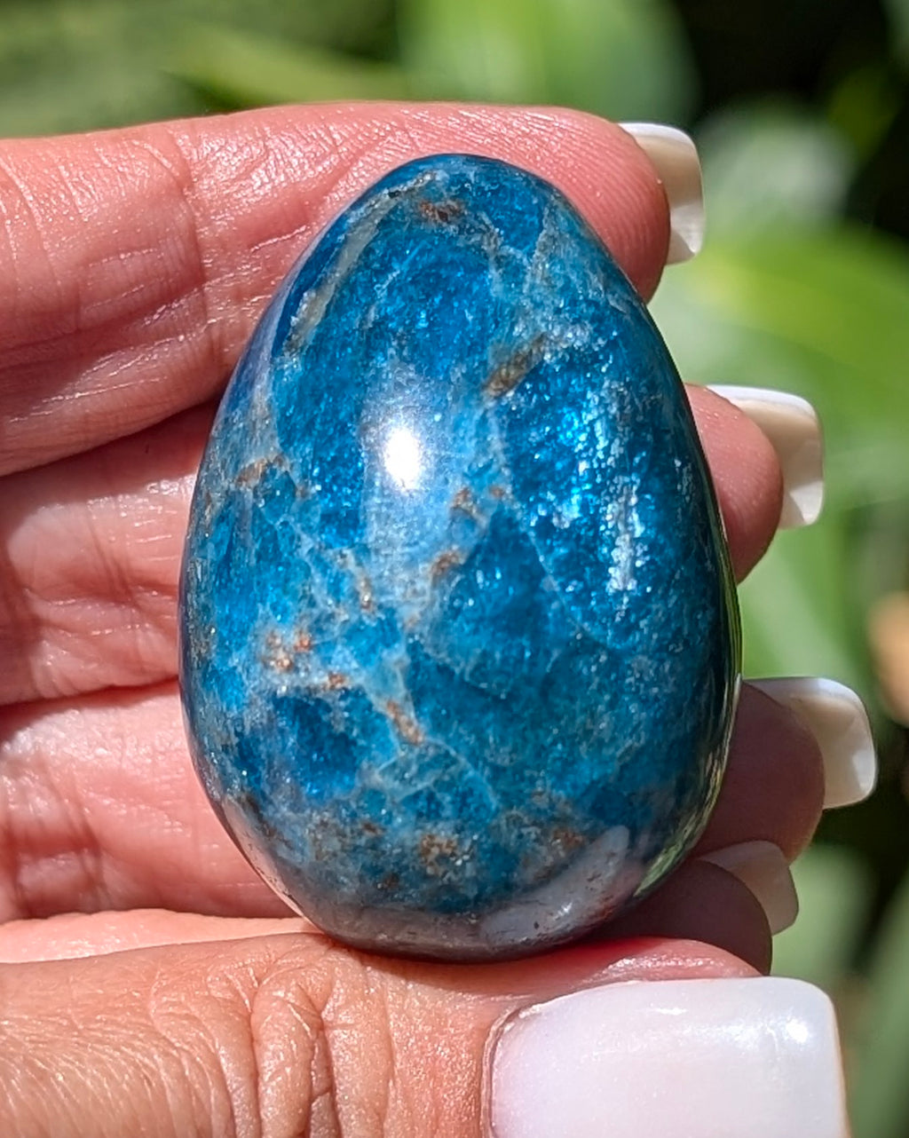 Apatite Egg - Opt. K
