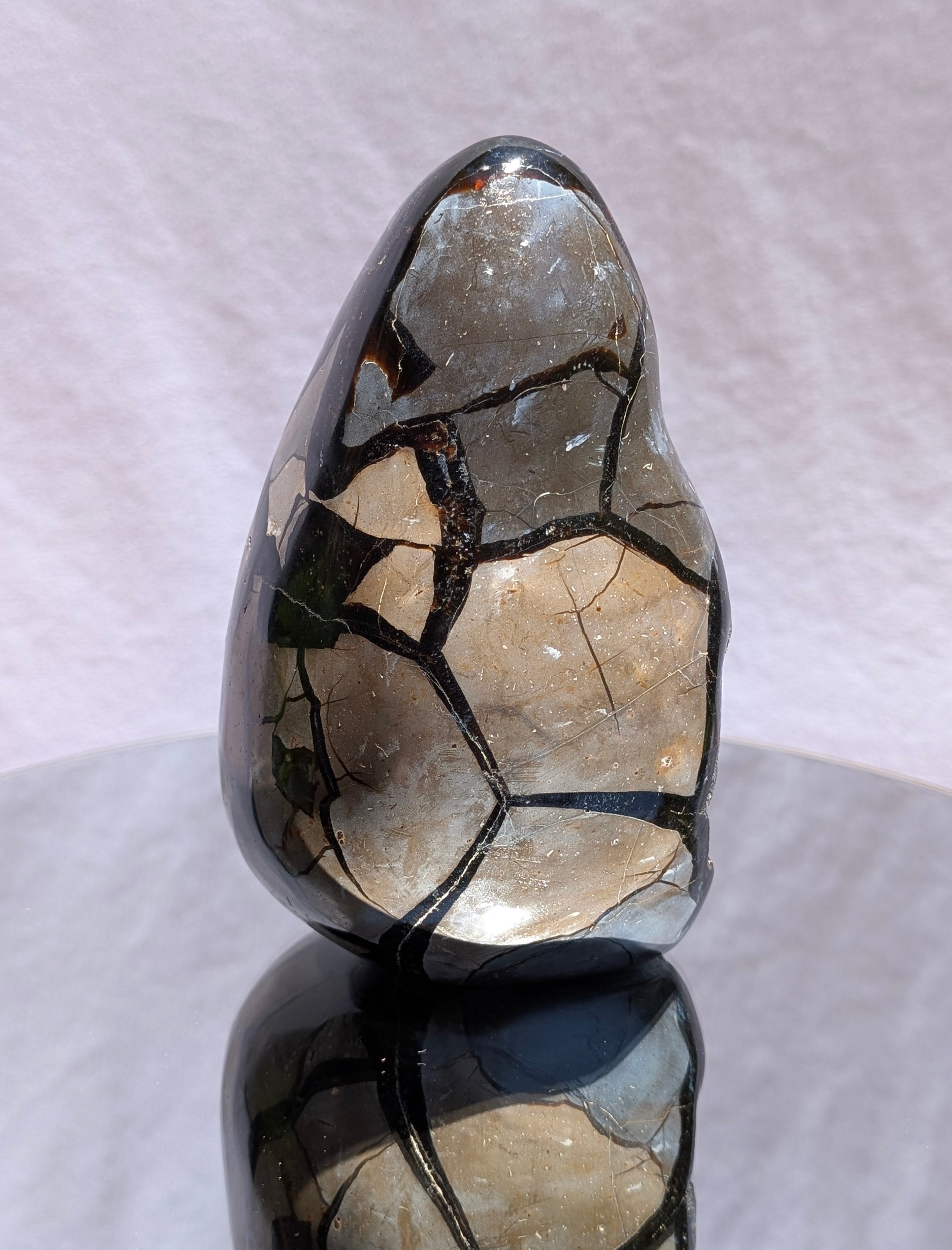 Septarian Dragon Egg B
