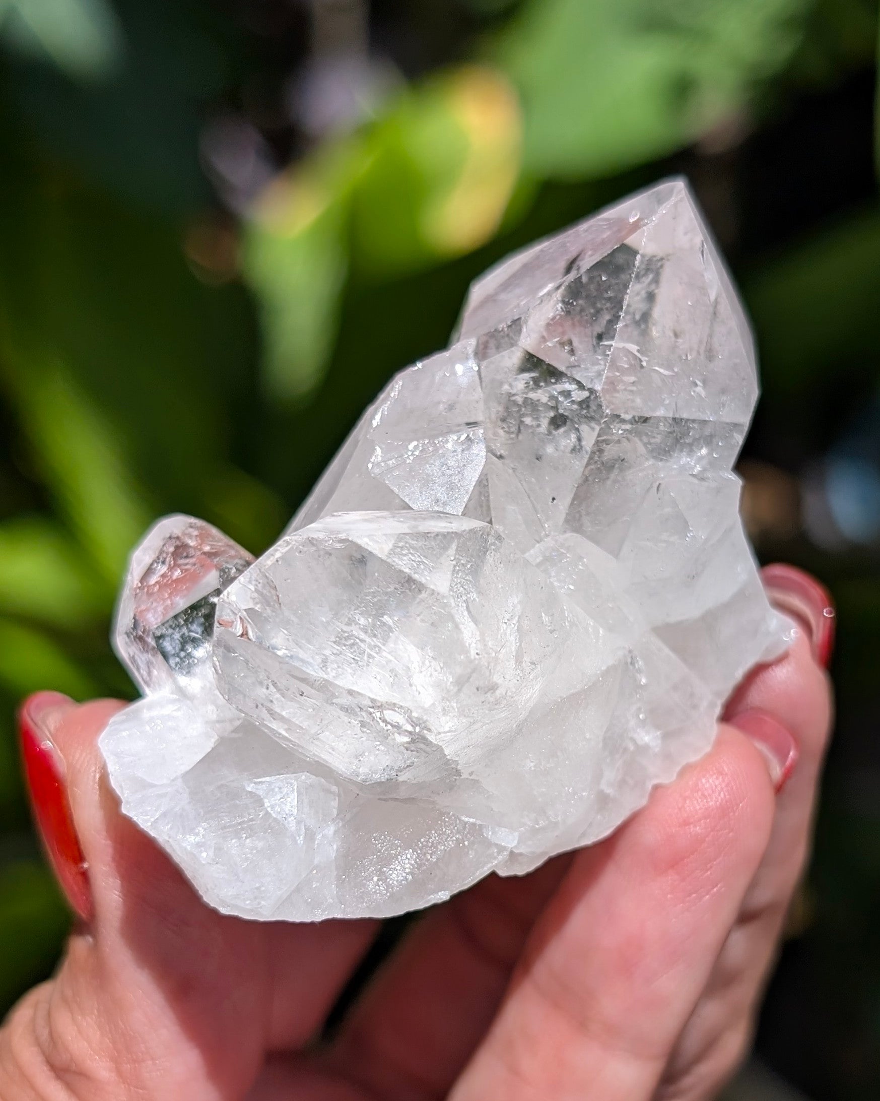 Amazing Clear Quartz Cluster - Opt. D