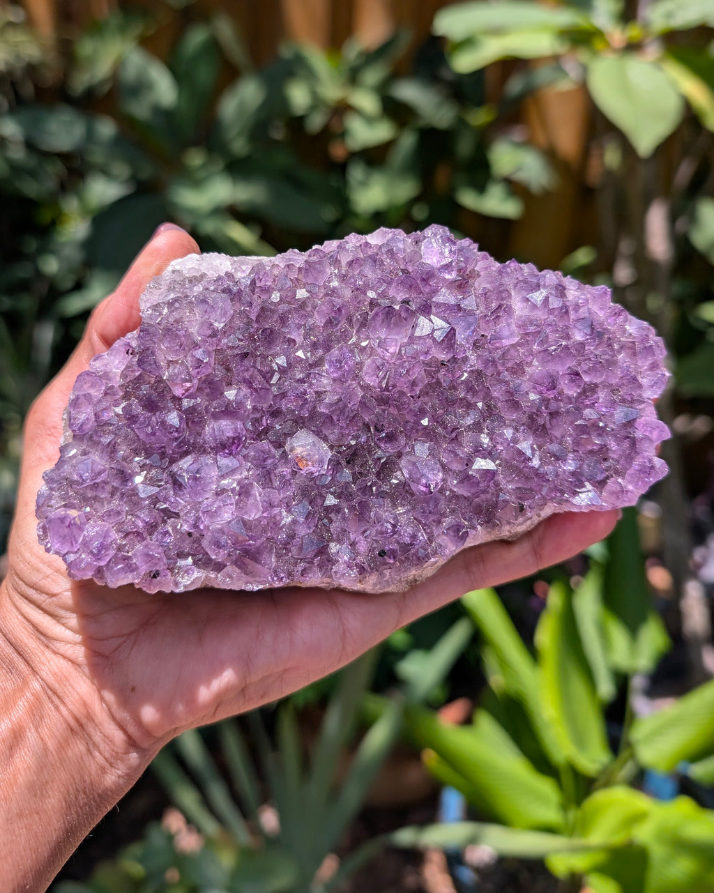 Amethyst Cluster E
