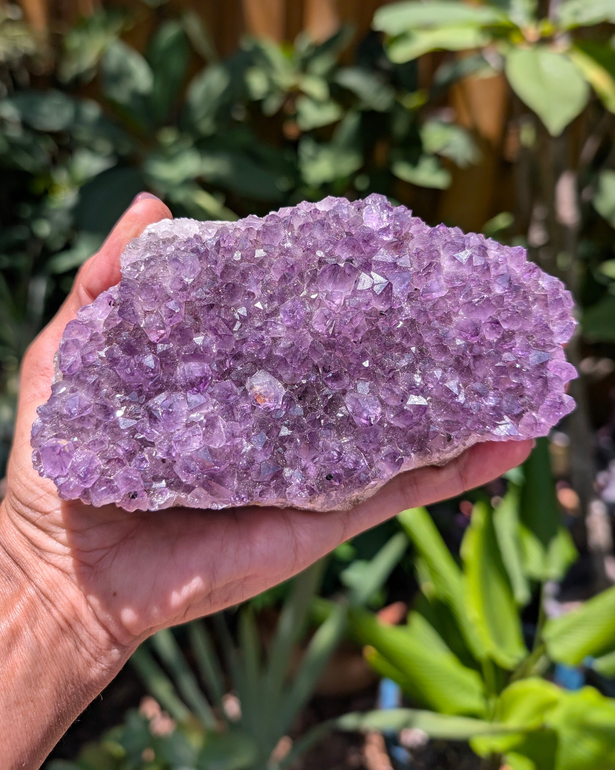 Amethyst Cluster E