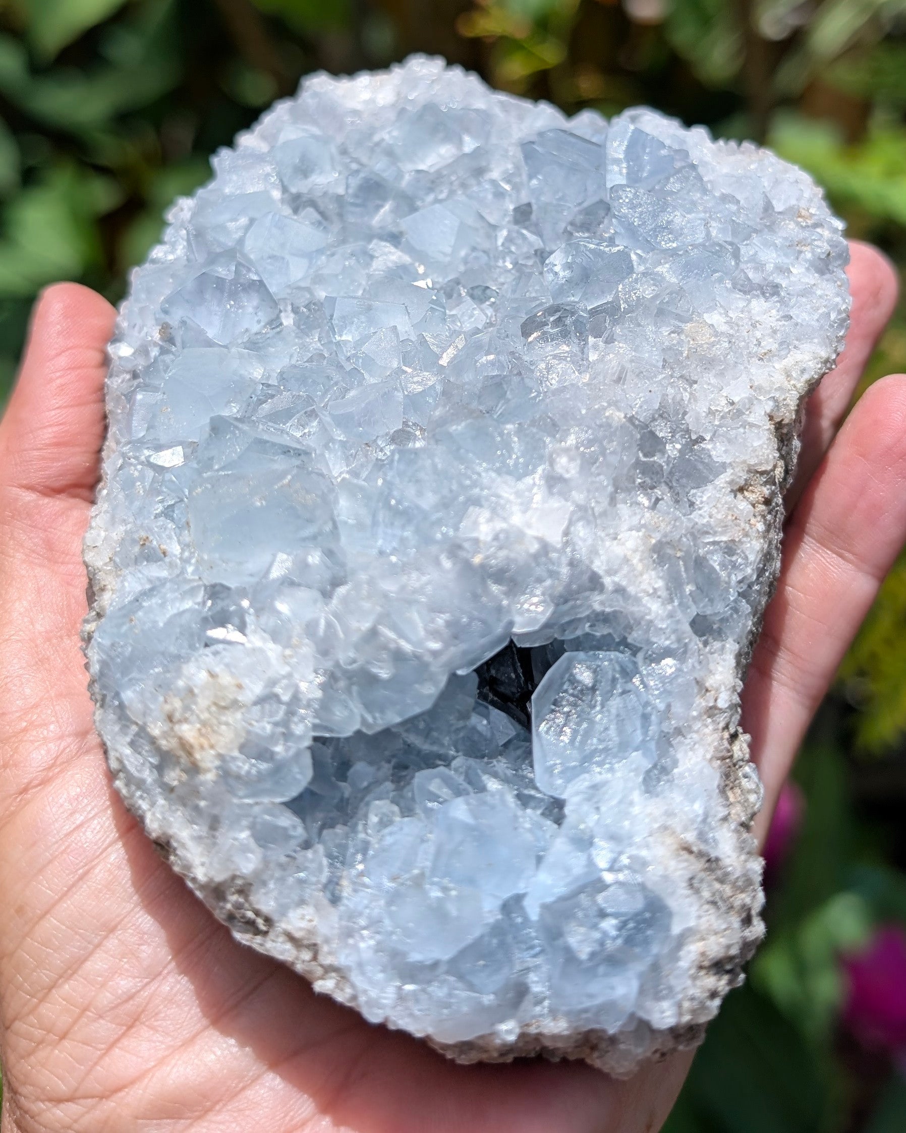Celestite Cluster H
