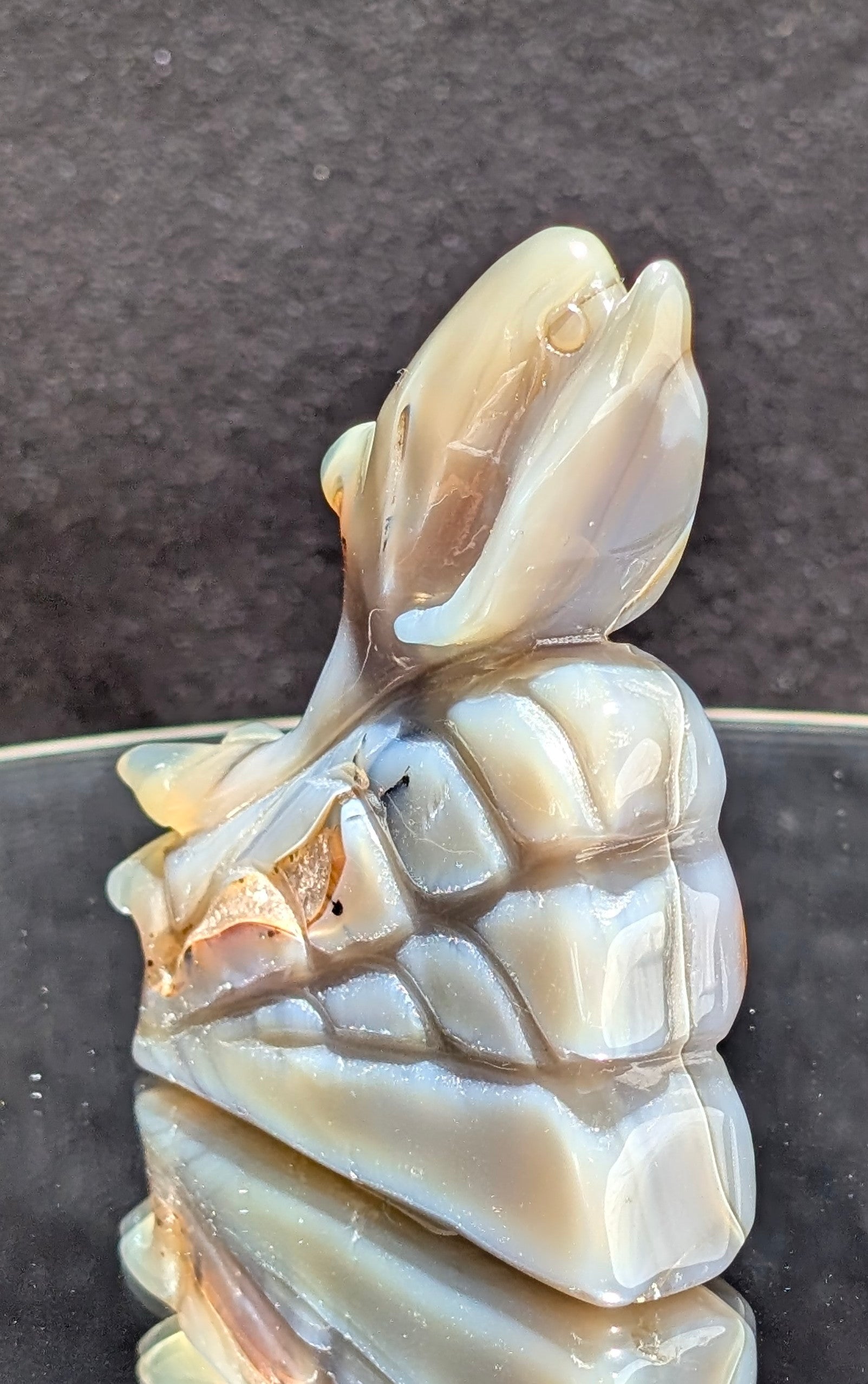 Agate Druzy Dolphin C
