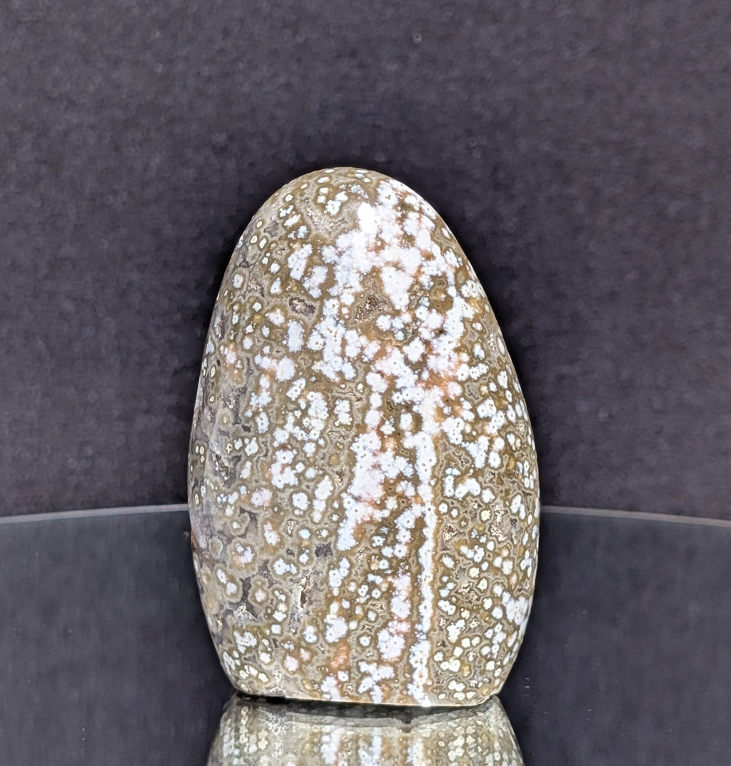 Ocean Jasper B
