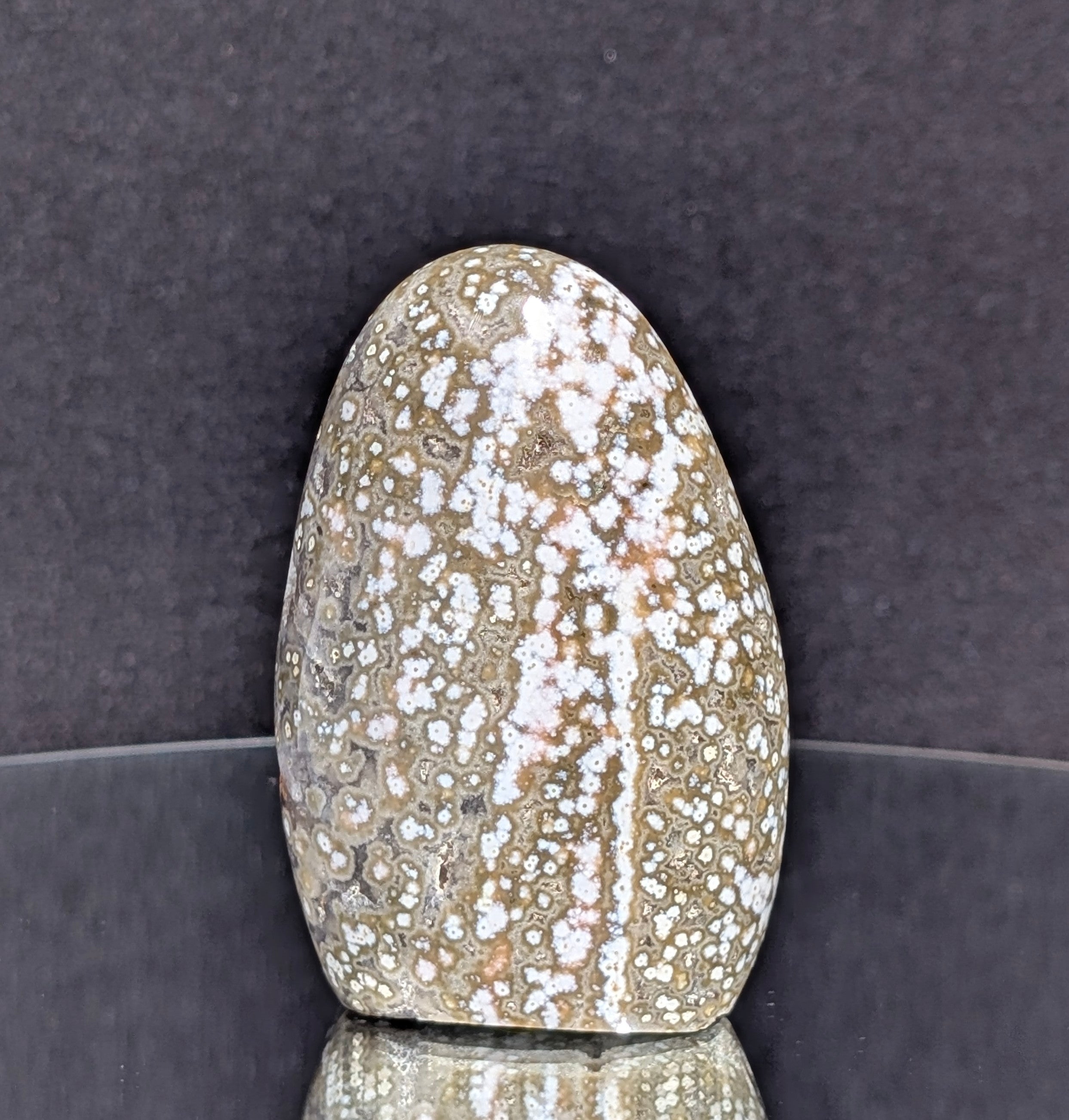 Ocean Jasper B