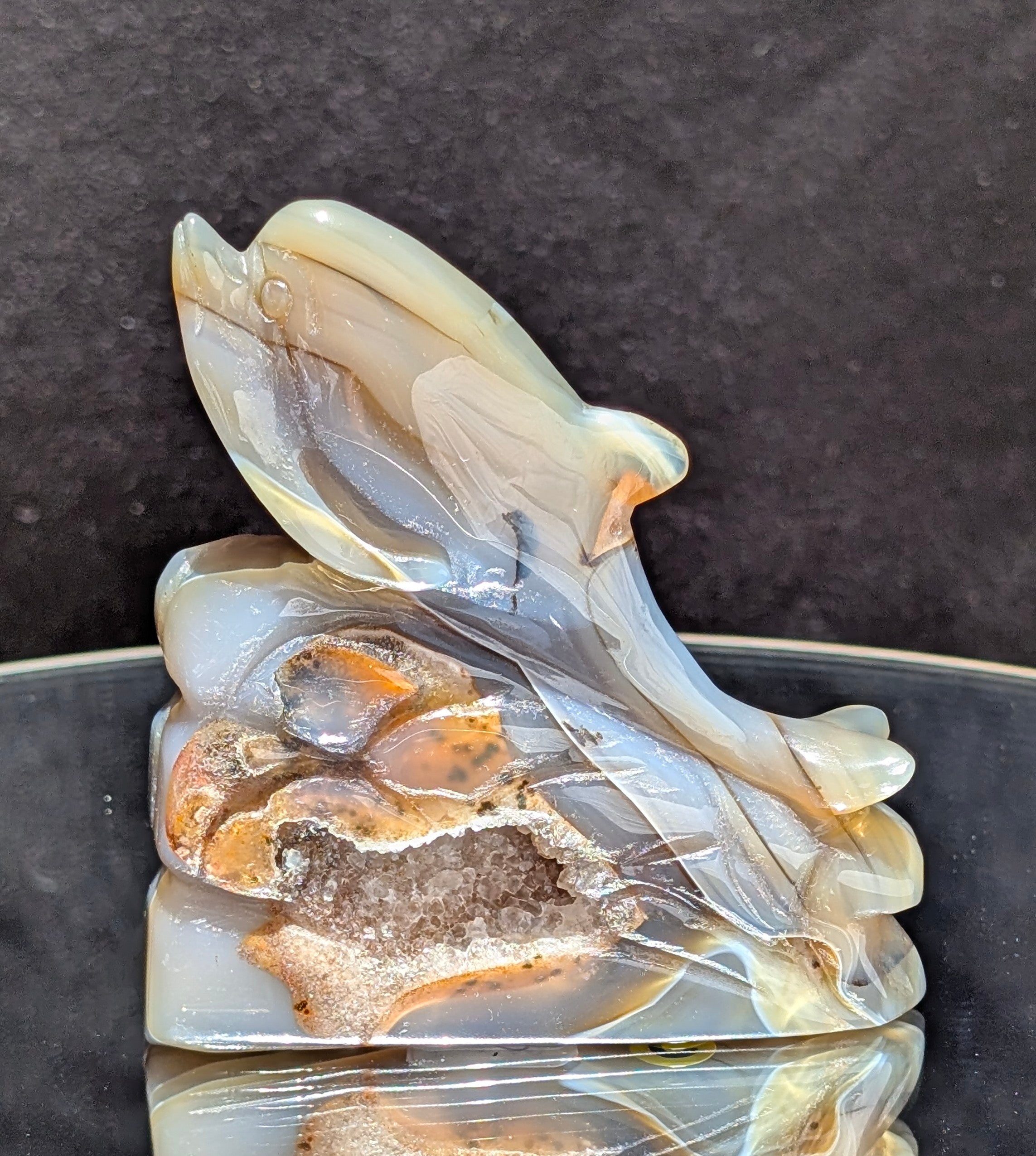 Agate Druzy Dolphin C