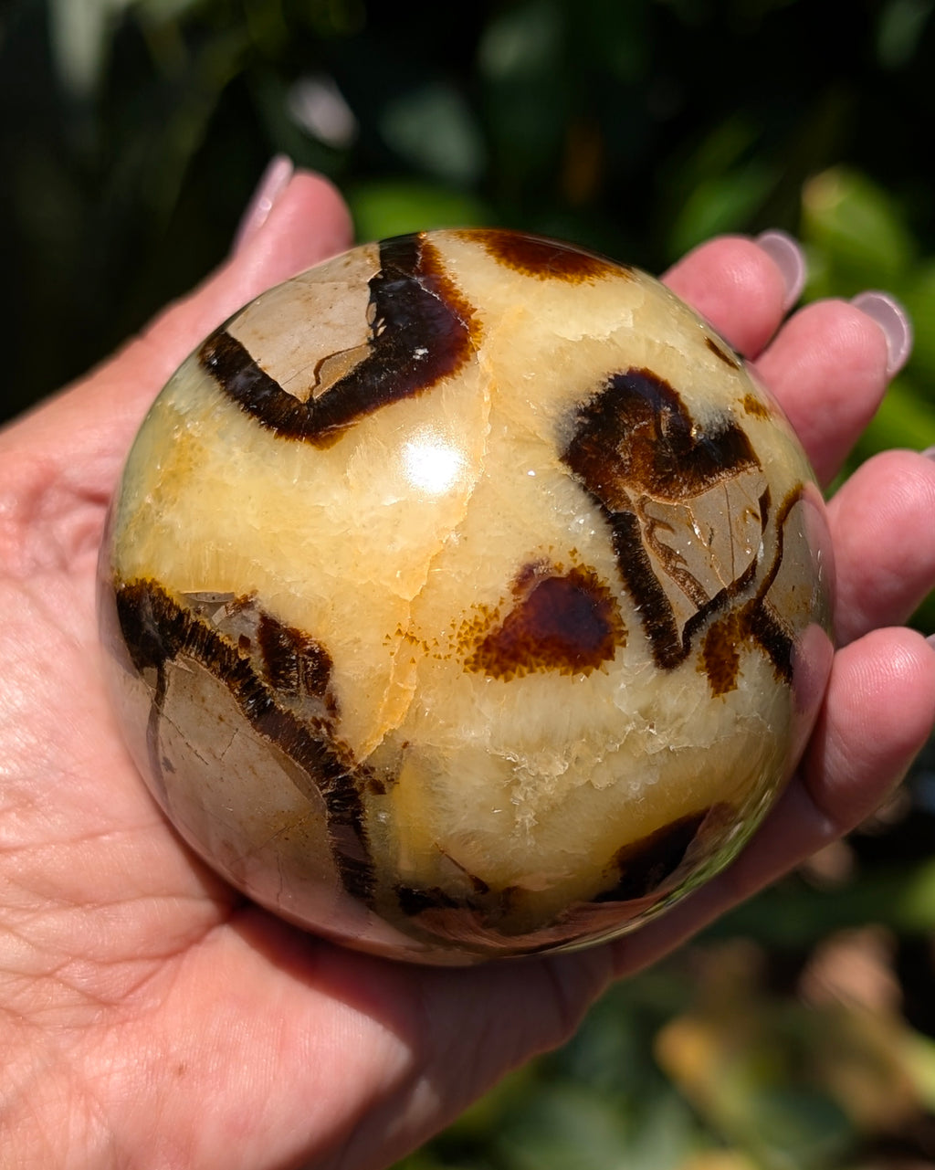 Septarian Dragon Stone Sphere A