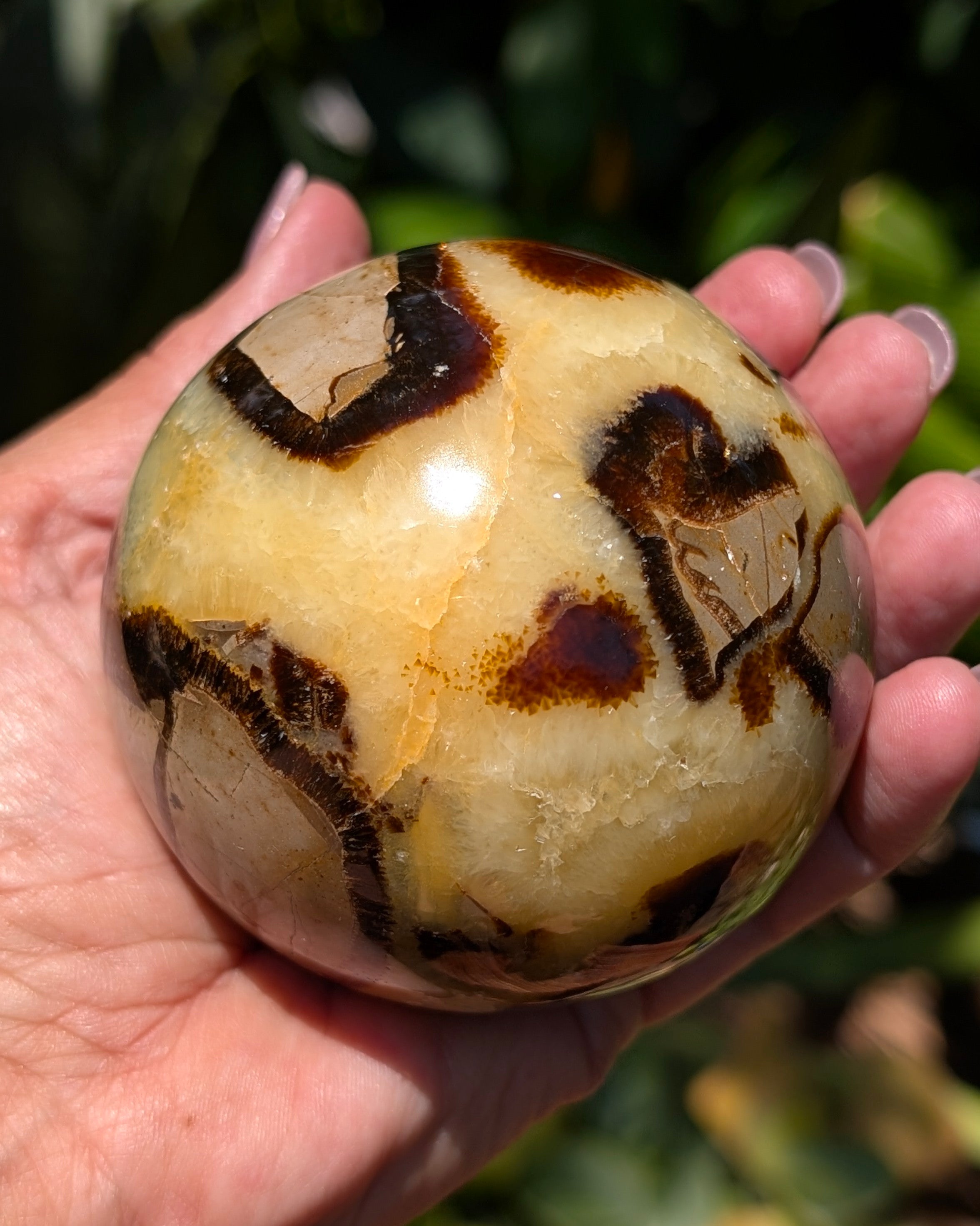 Septarian Dragon Stone Sphere A