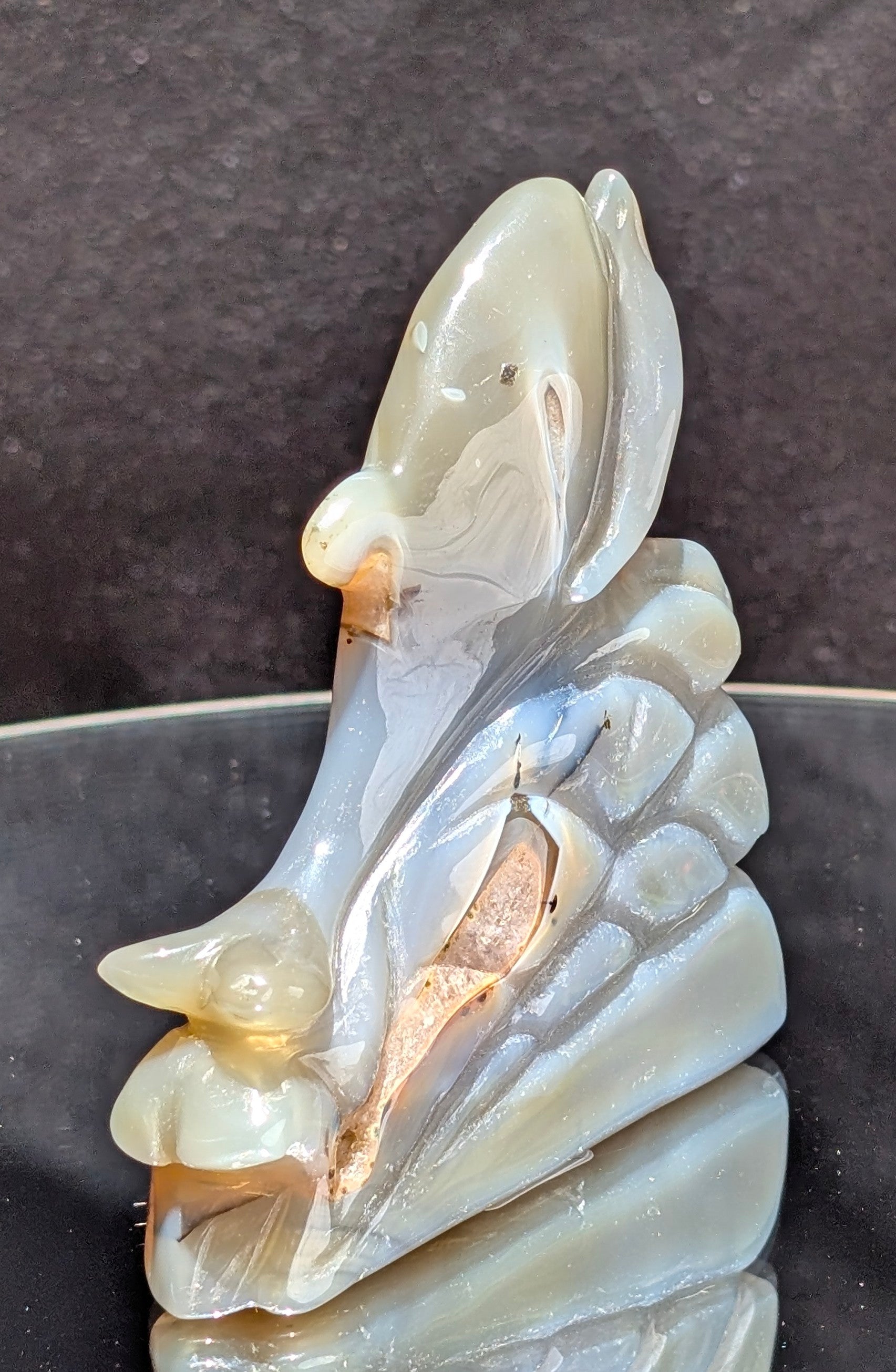 Agate Druzy Dolphin C