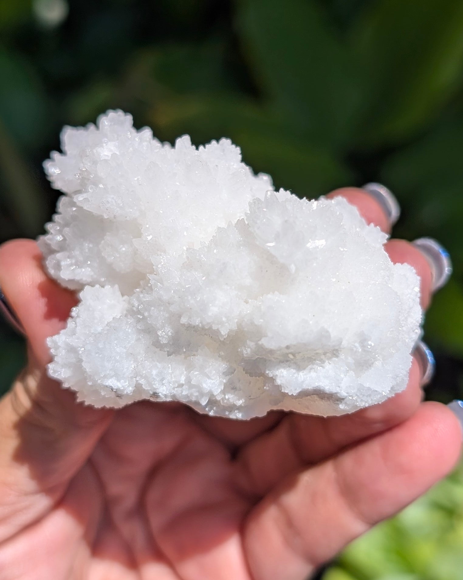 Fluorescent Aragonite - Opt. J