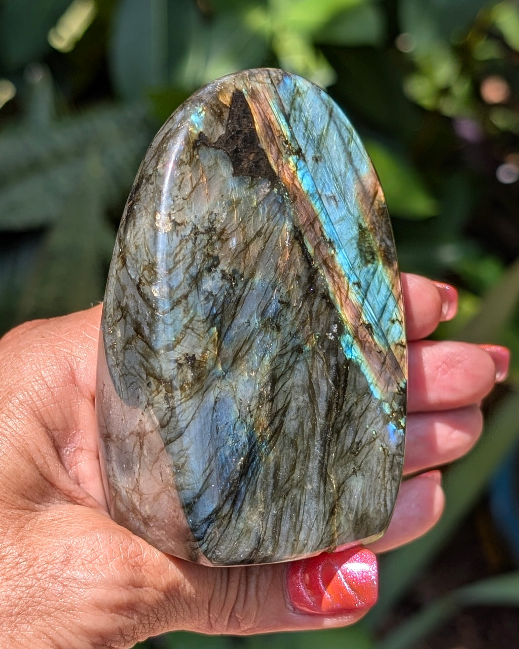 Spectrolite Labradorite Freeform - Opt. G
